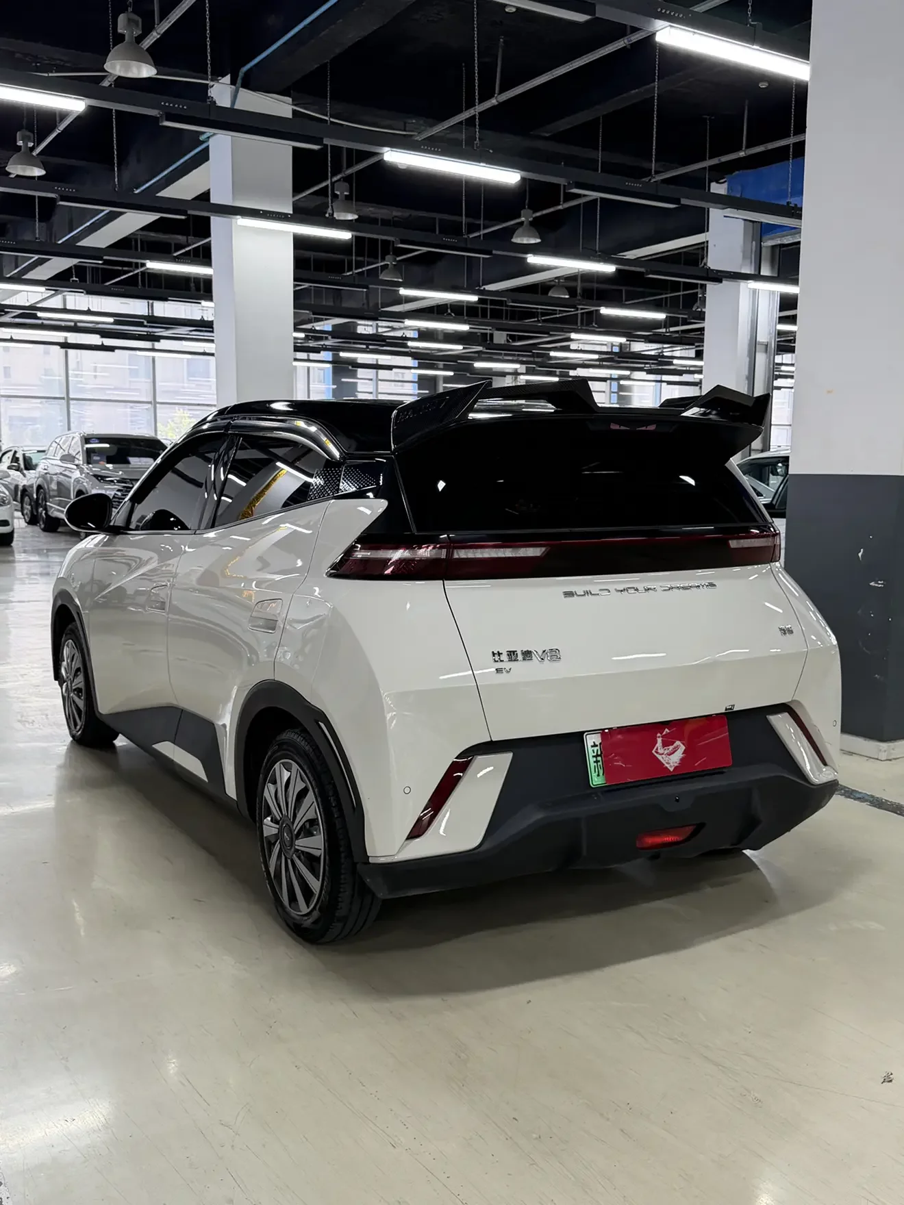 BYD seagull