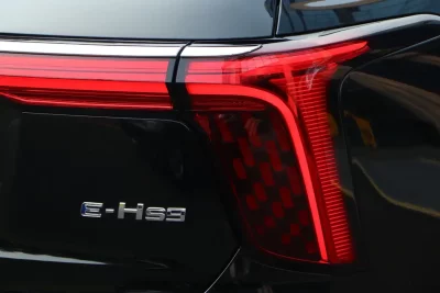 Hongqi E-HS9