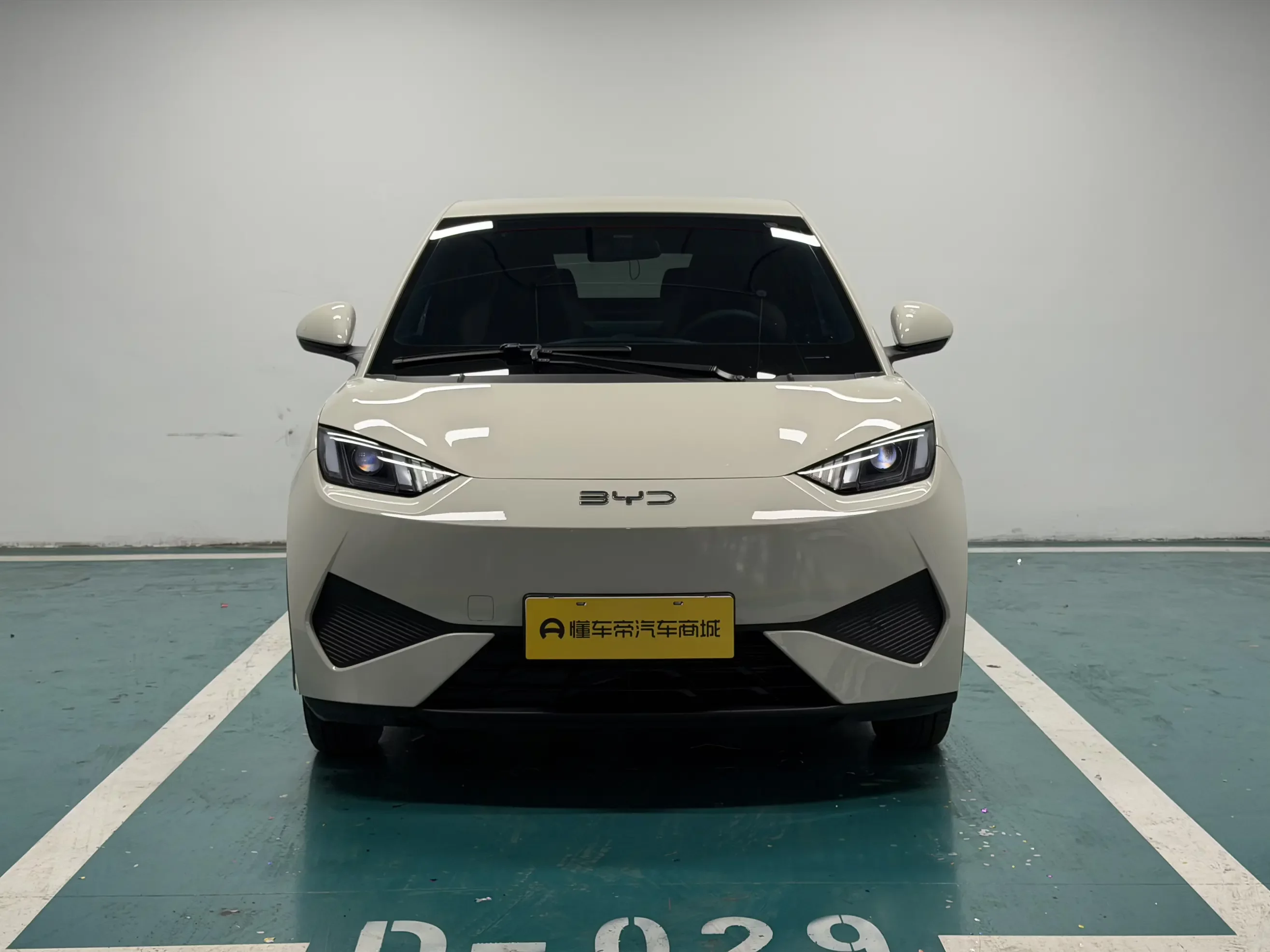 BYD seagull