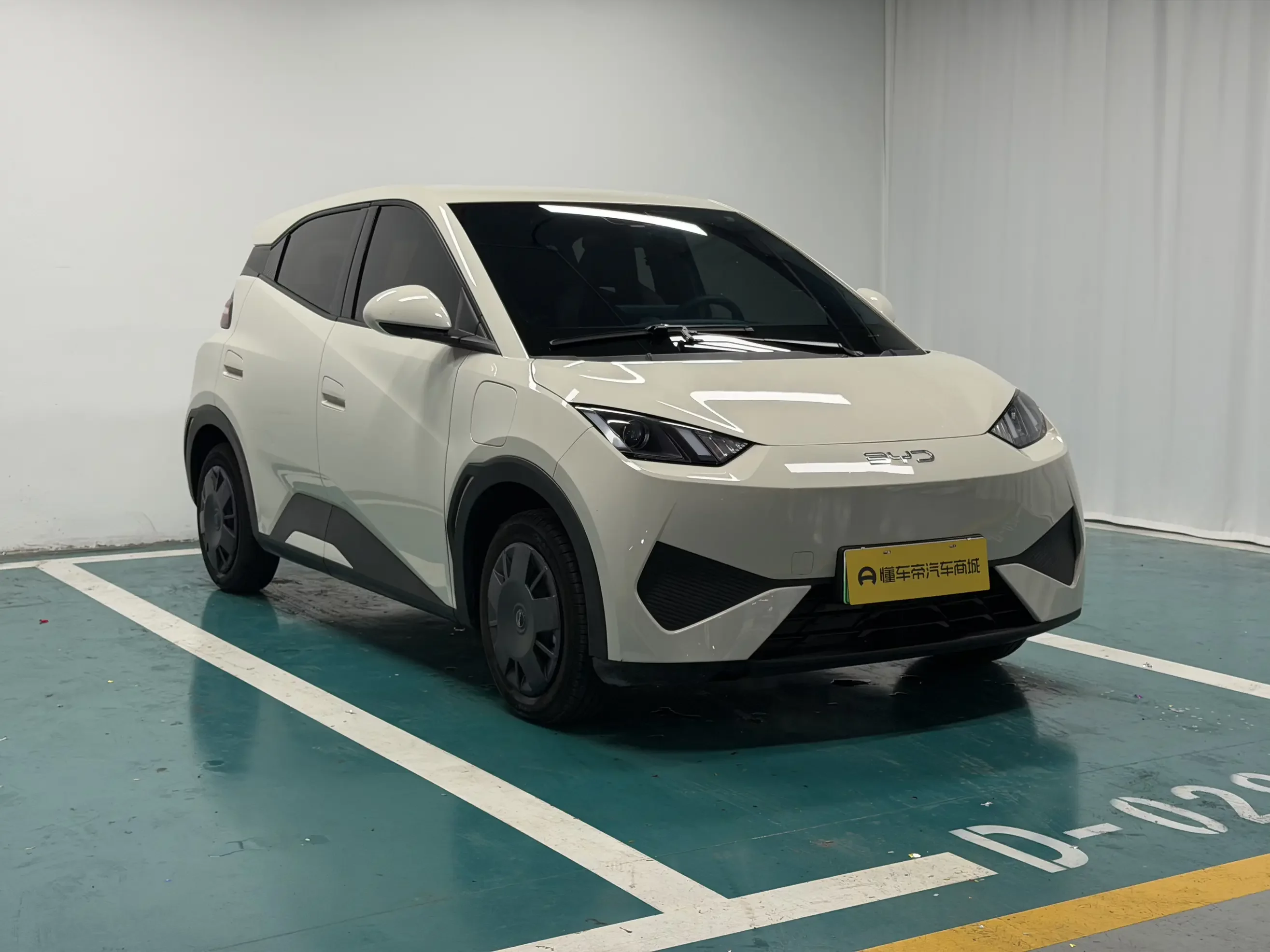 BYD seagull