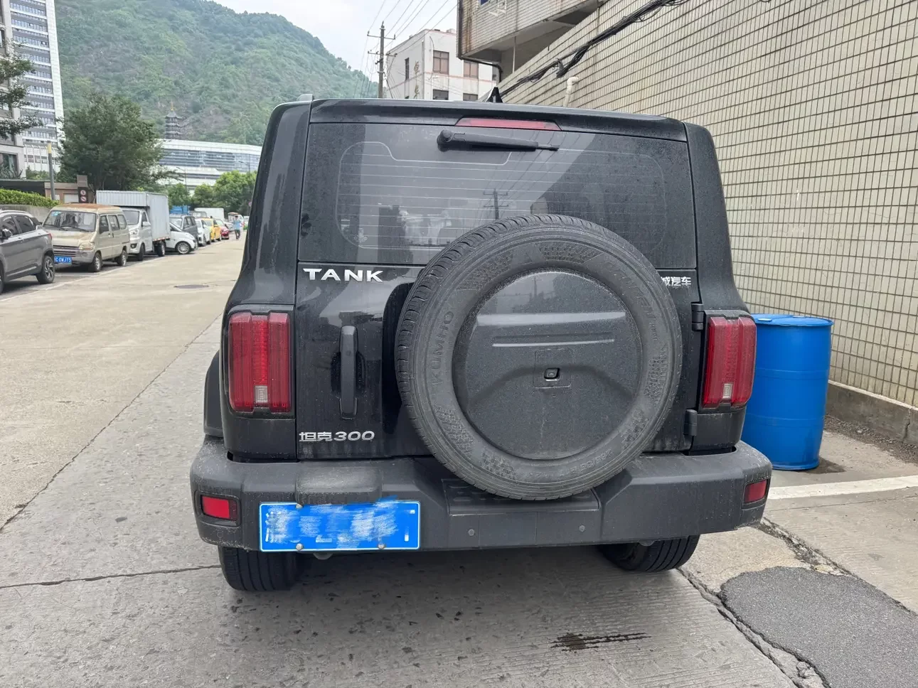 Tank 300
