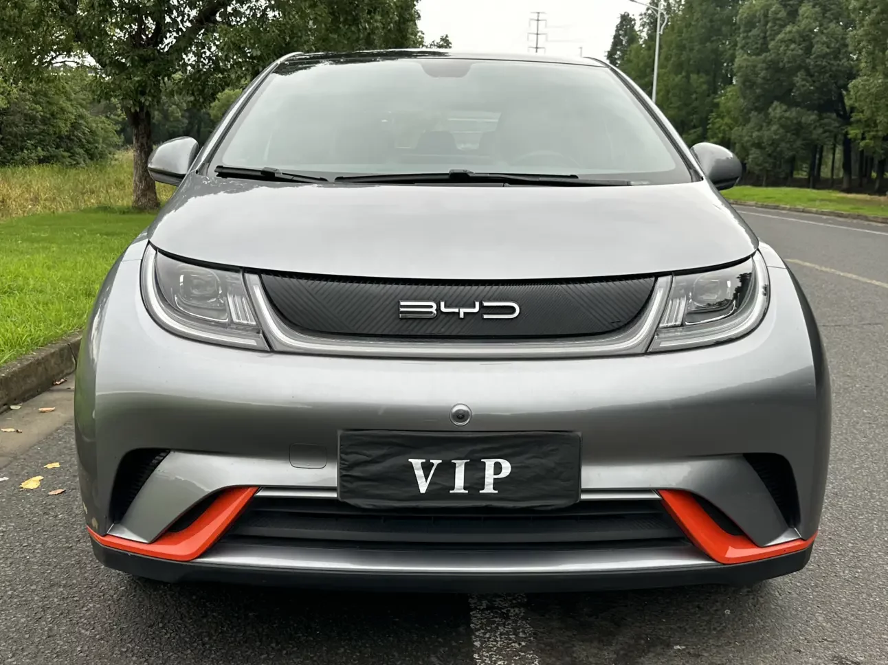BYD dolphin
