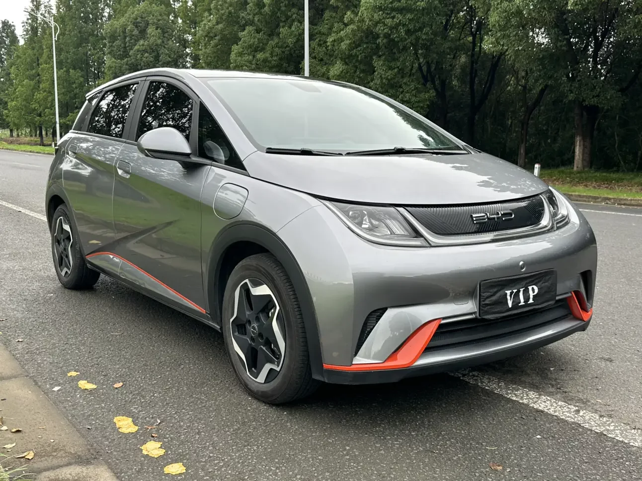 BYD dolphin