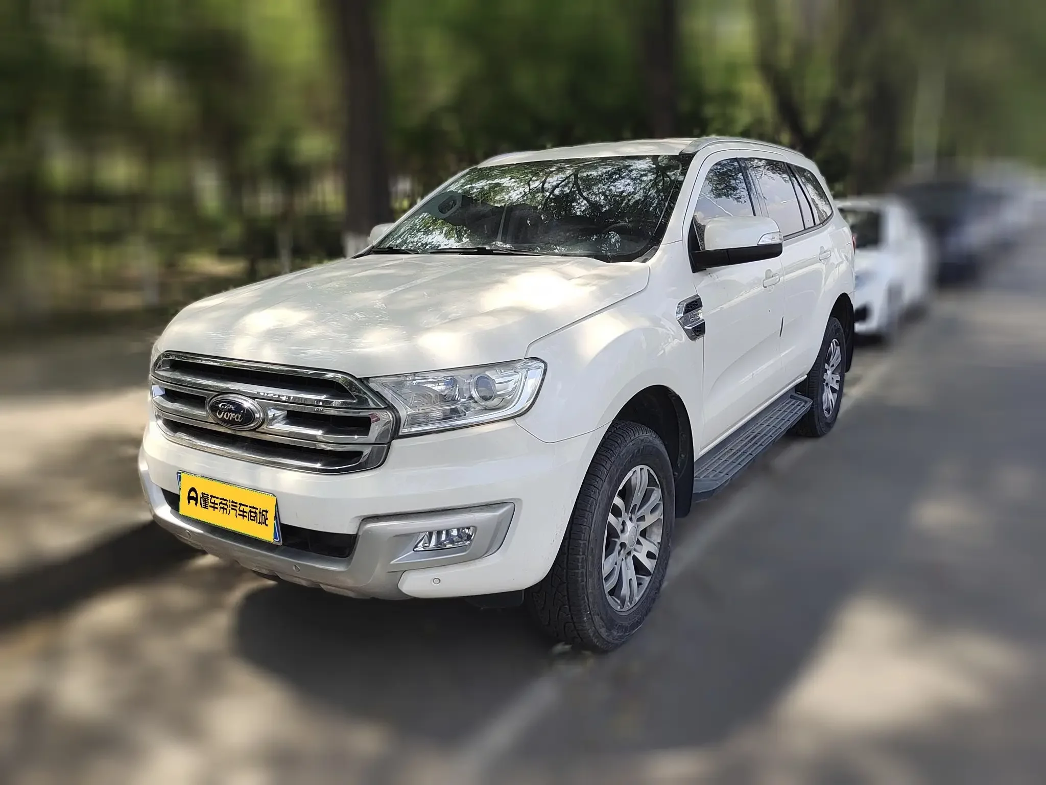 Ford Road shaker