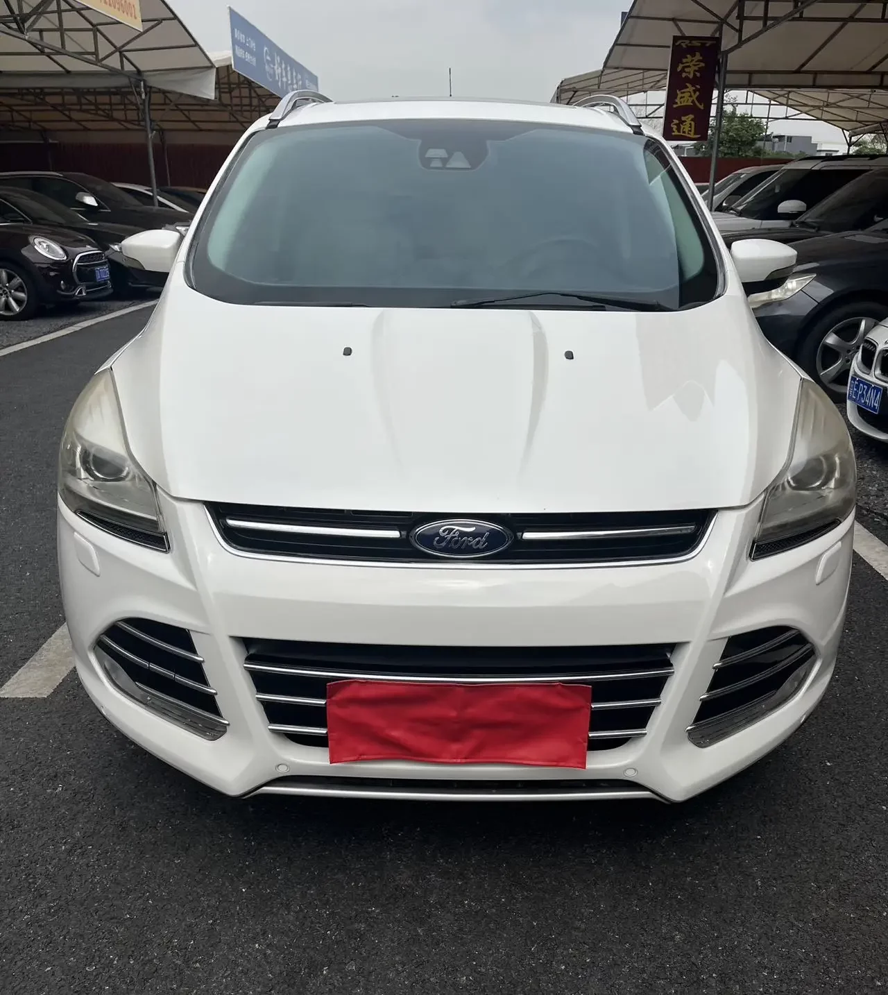 Ford wing tiger