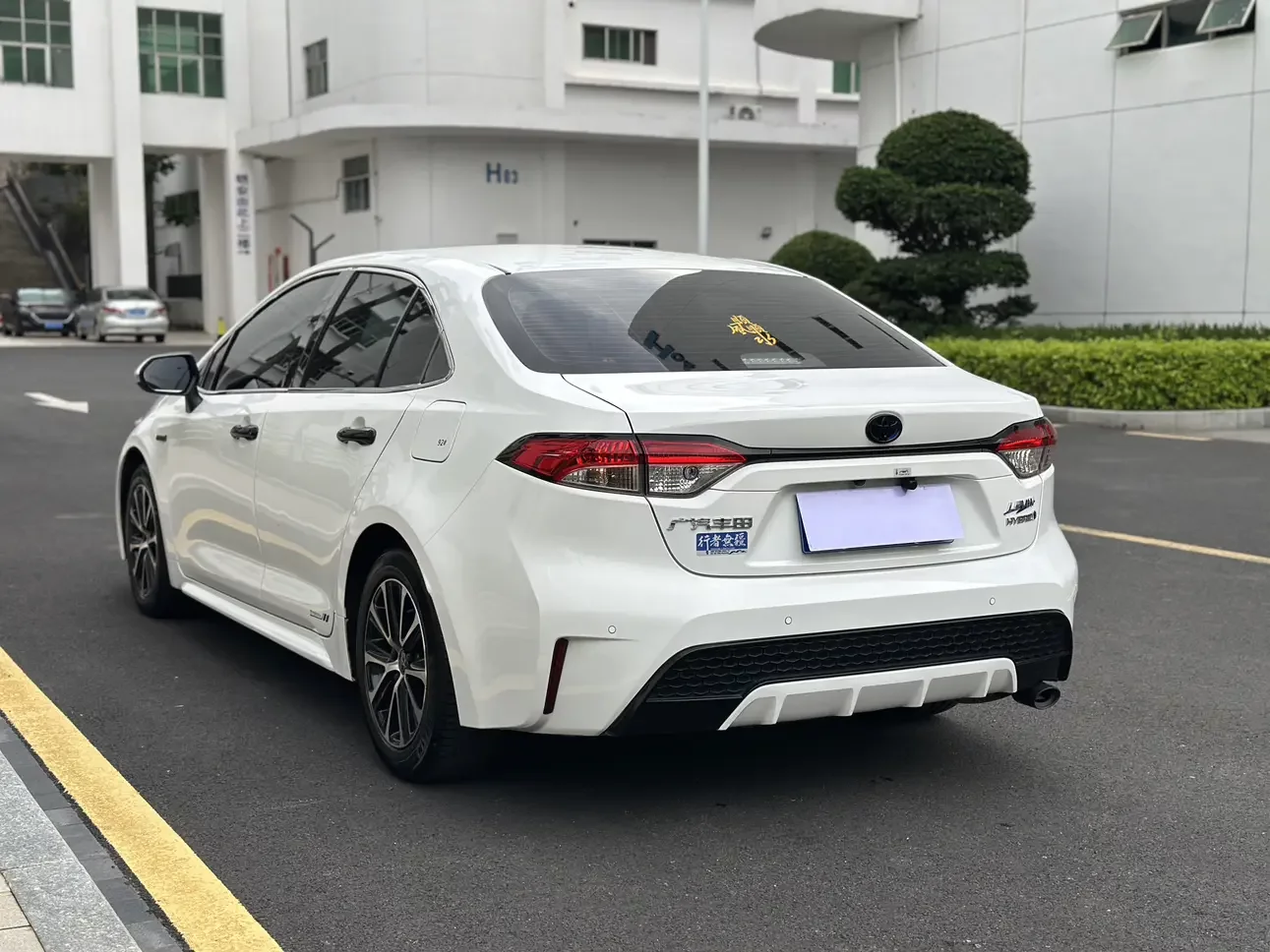 Toyota Levin