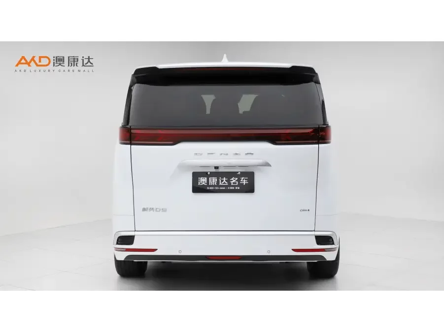 Denza D9 DM
