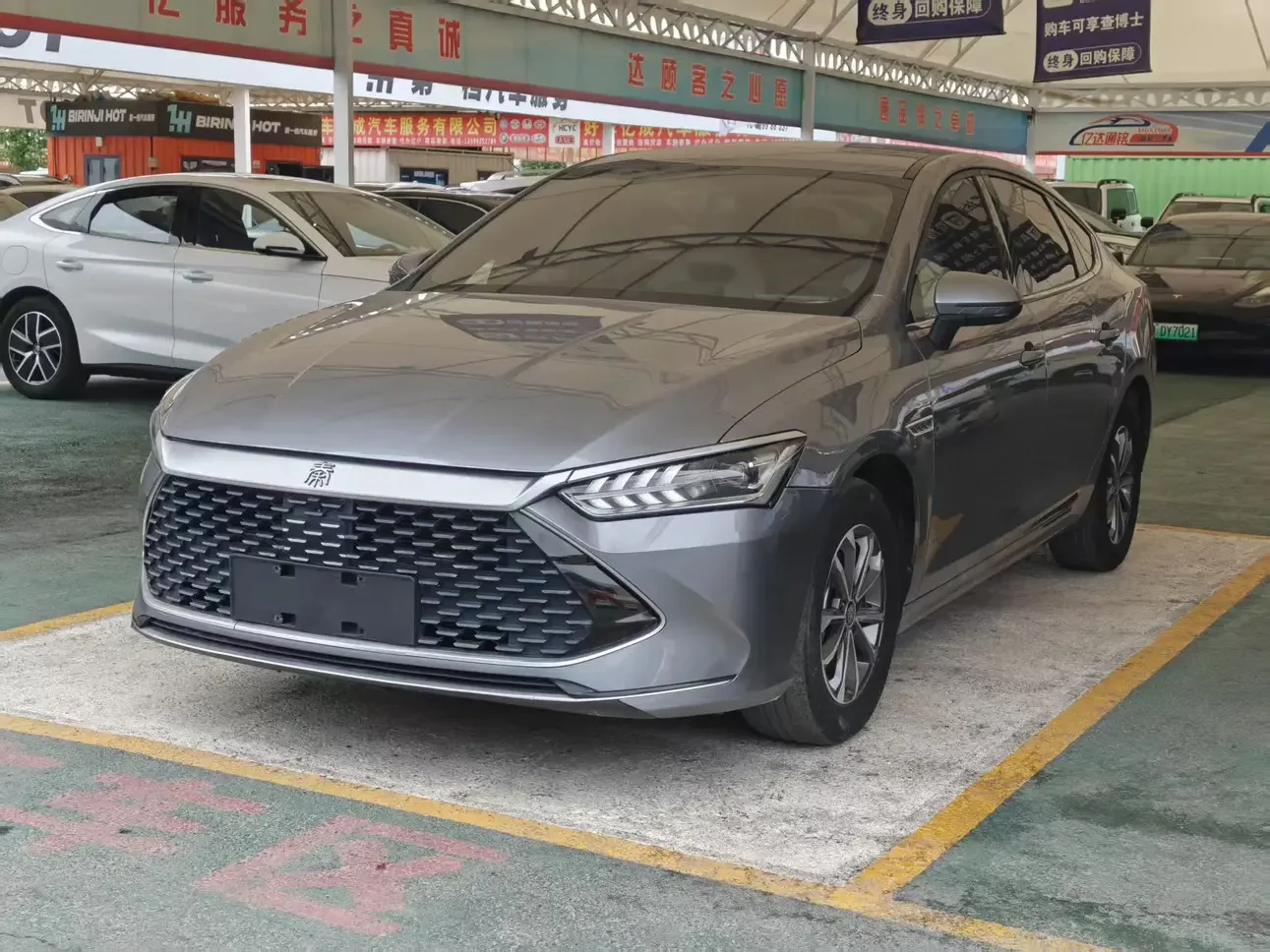 BYD Qin PLUS DM