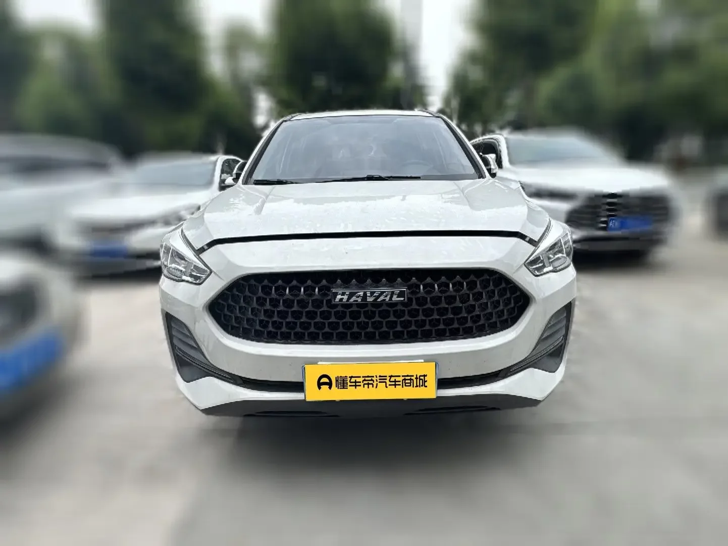 Haval M6