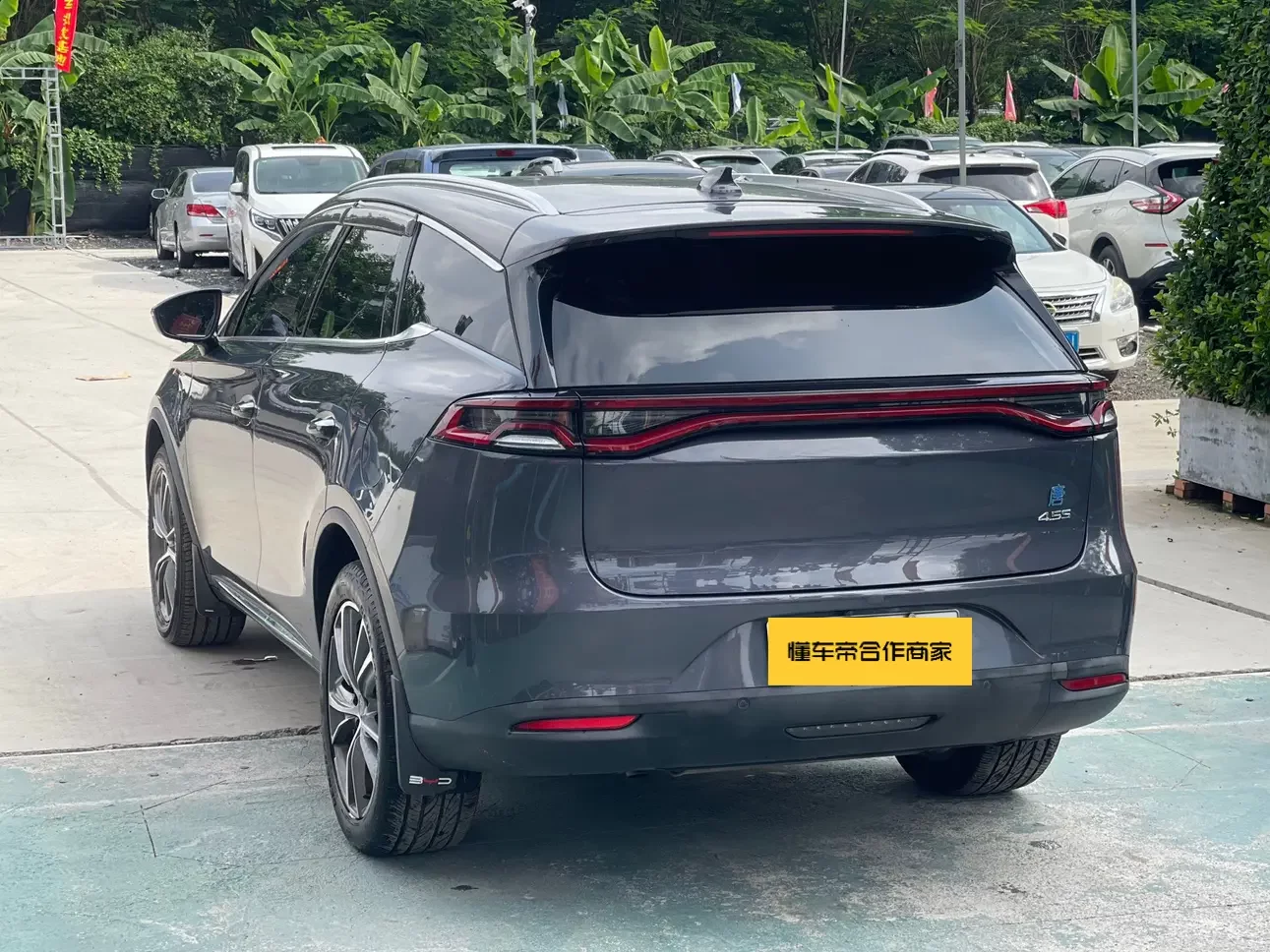 BYD Tang DM
