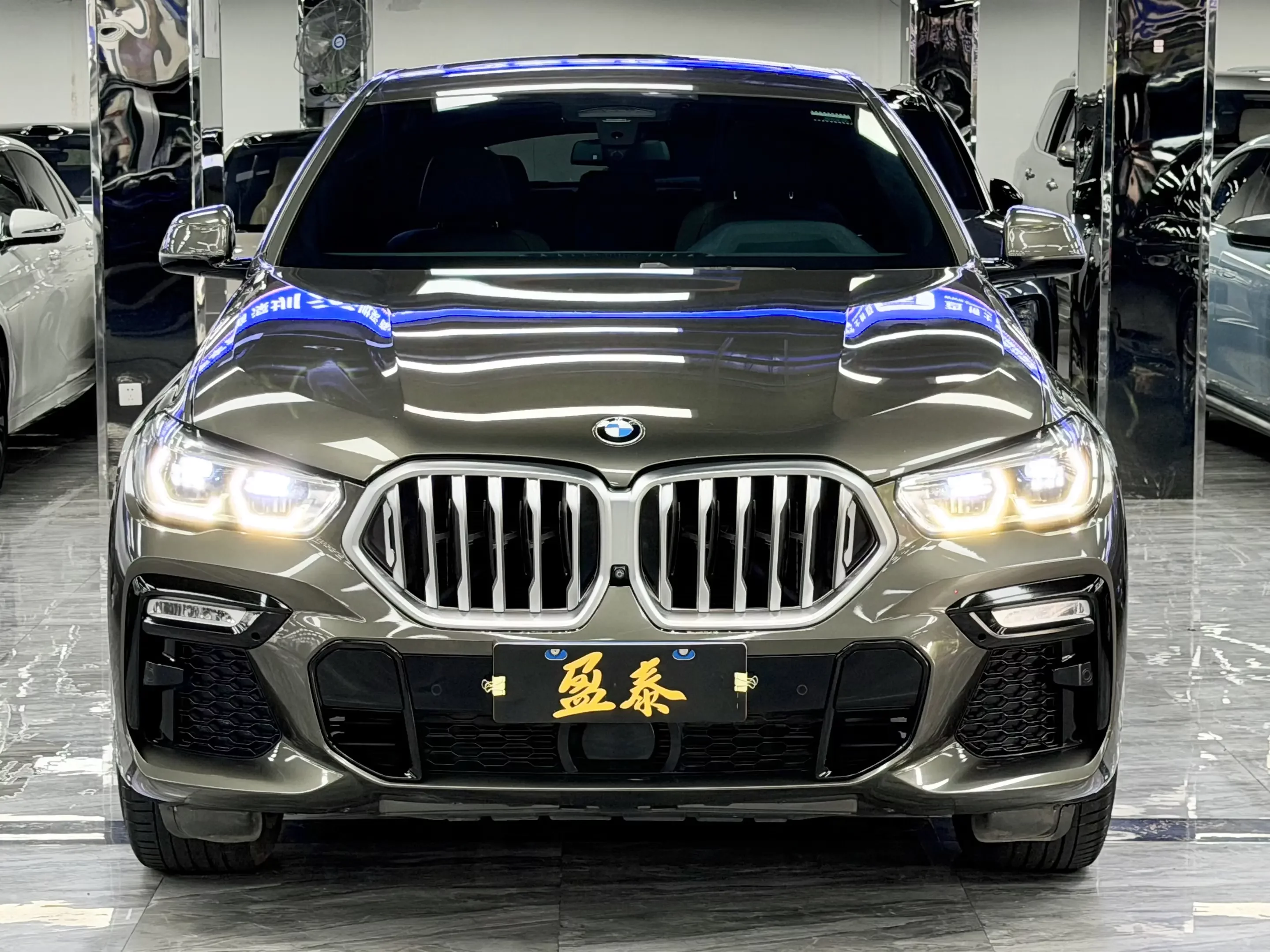 BMW X6
