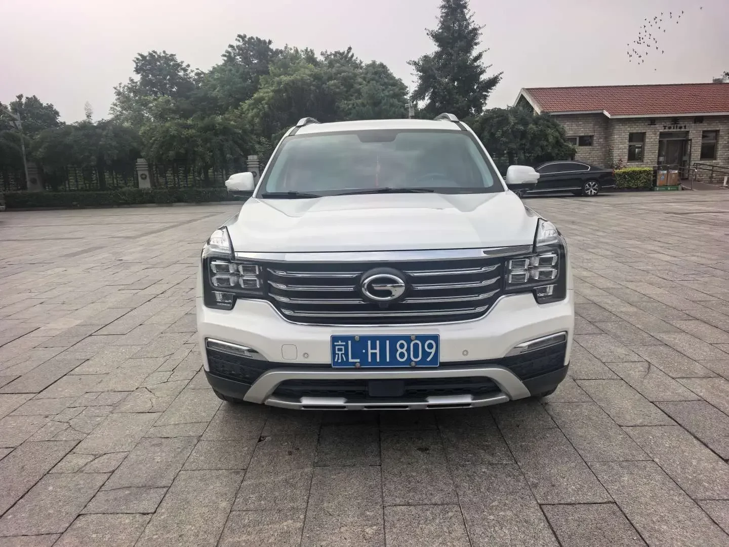 GAC Trumpchi GS8