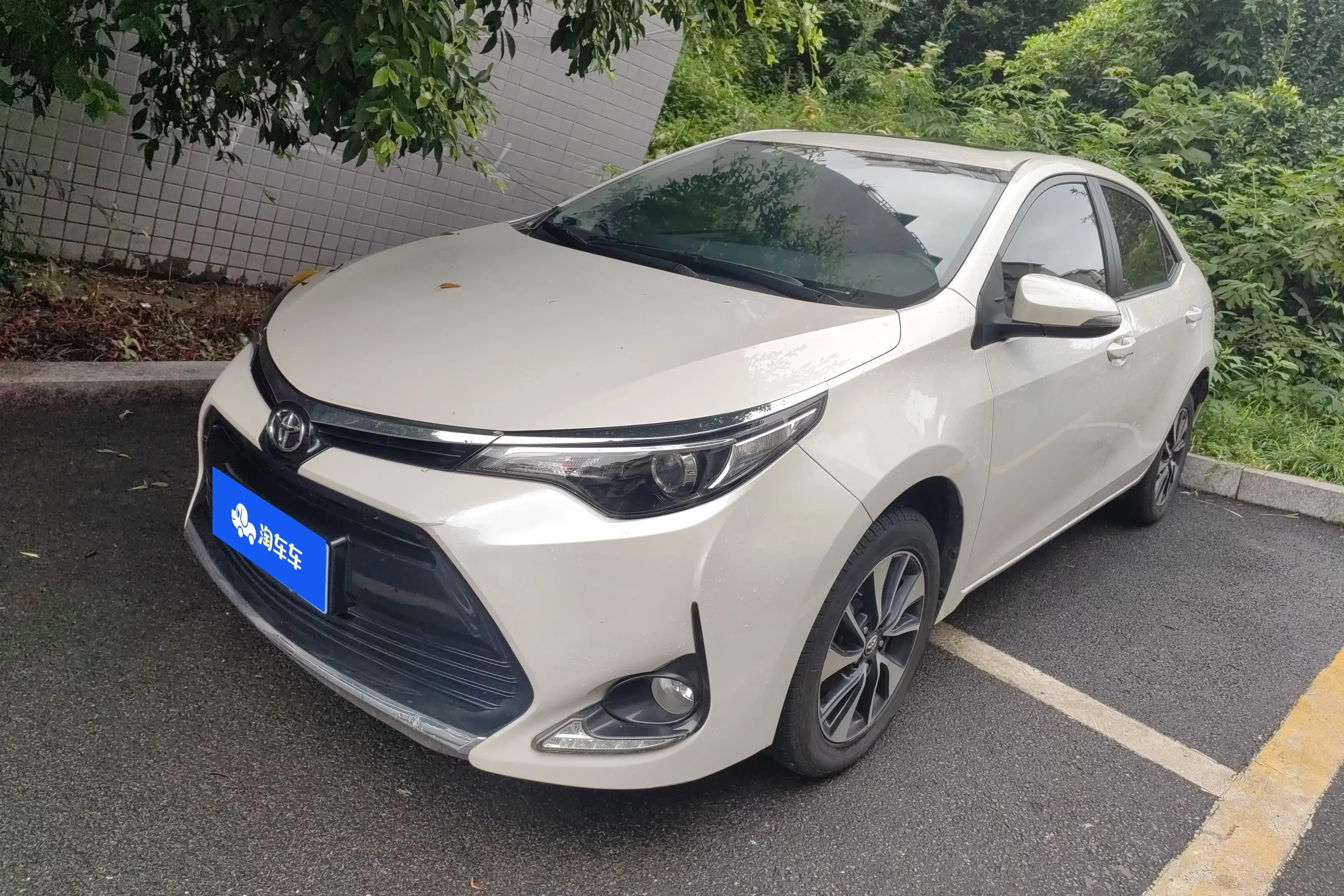 Toyota Levin