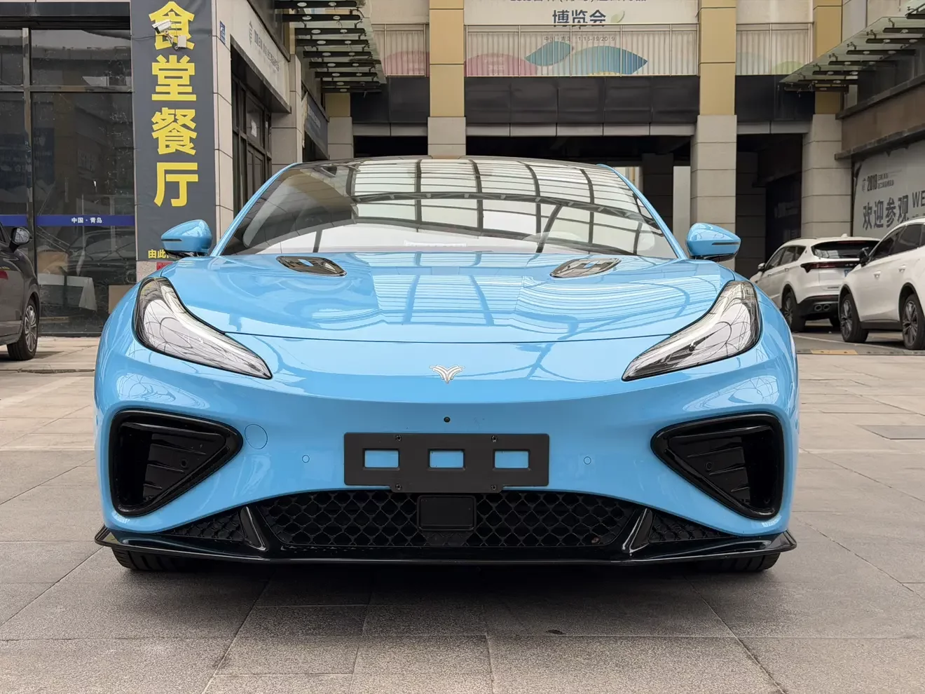 Hozon Neta GT