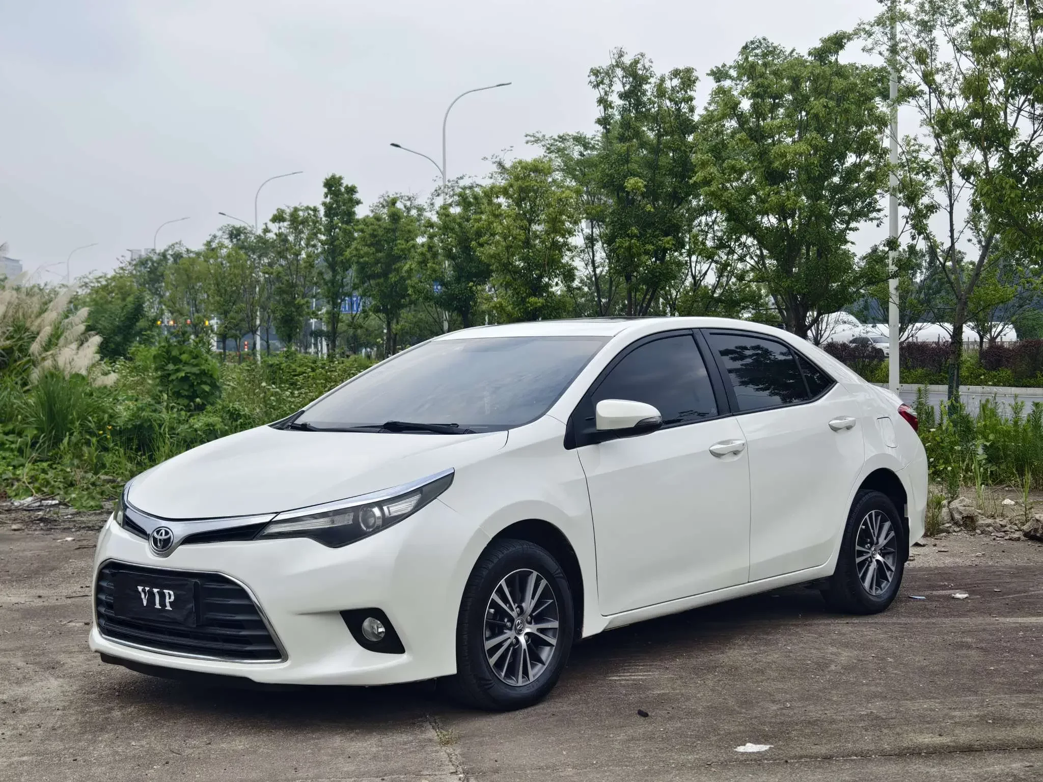 Toyota Levin