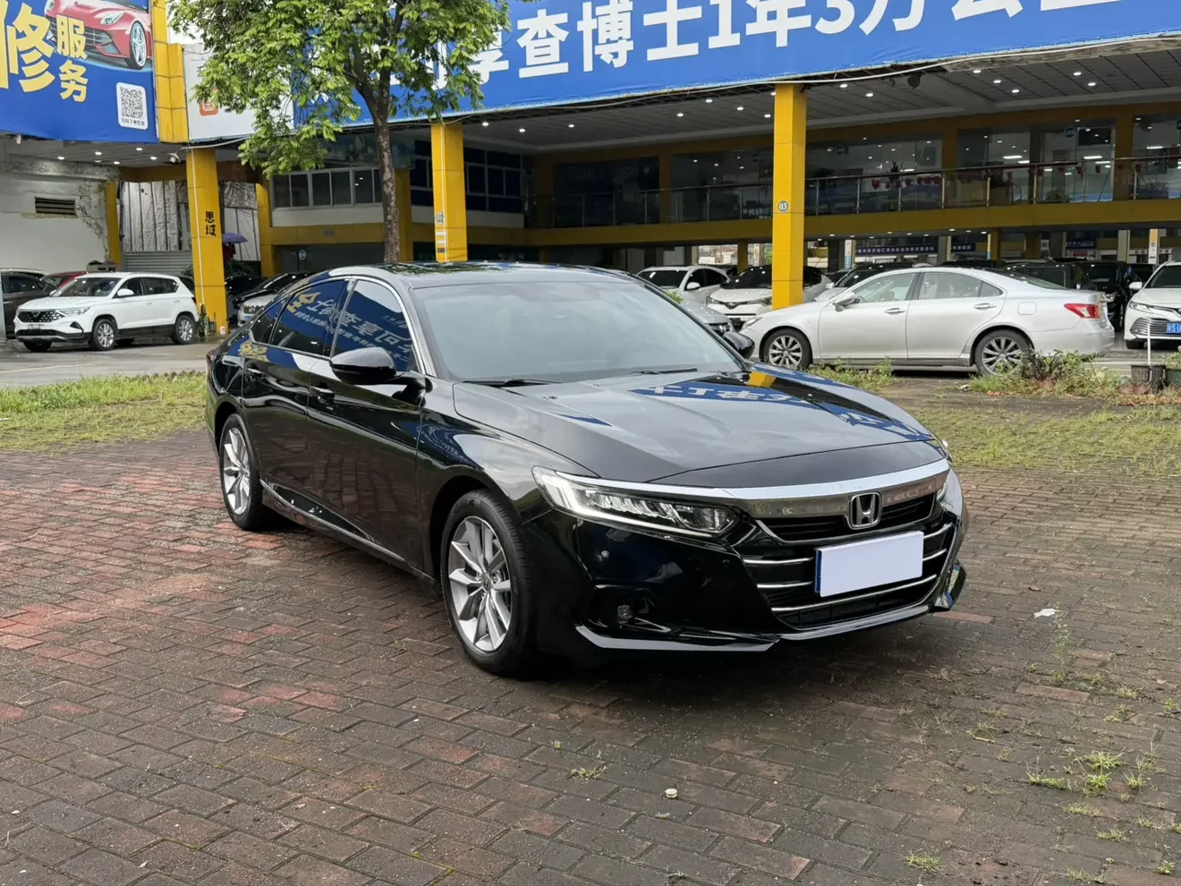 Honda Accord