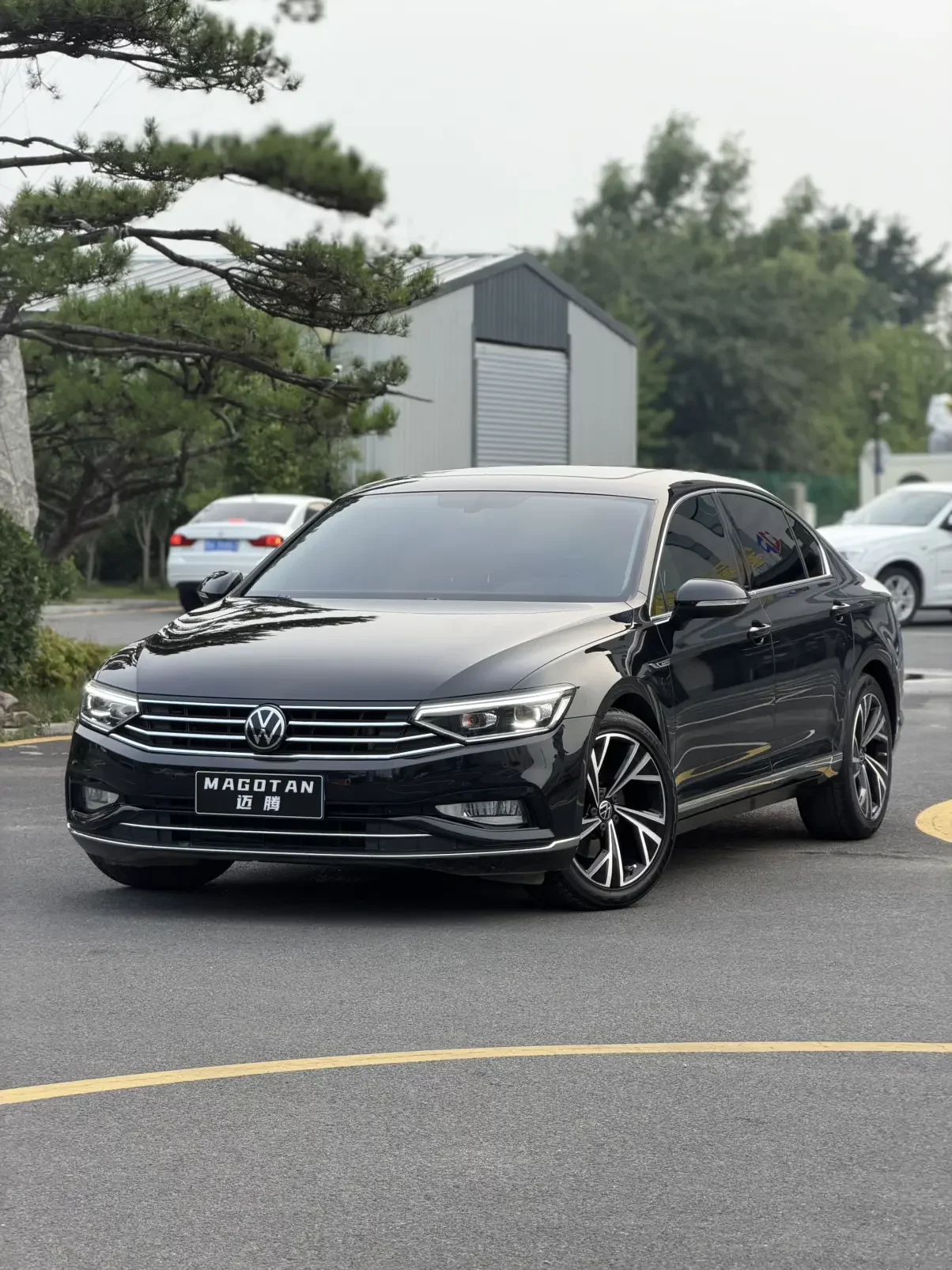 Volkswagen Magotan
