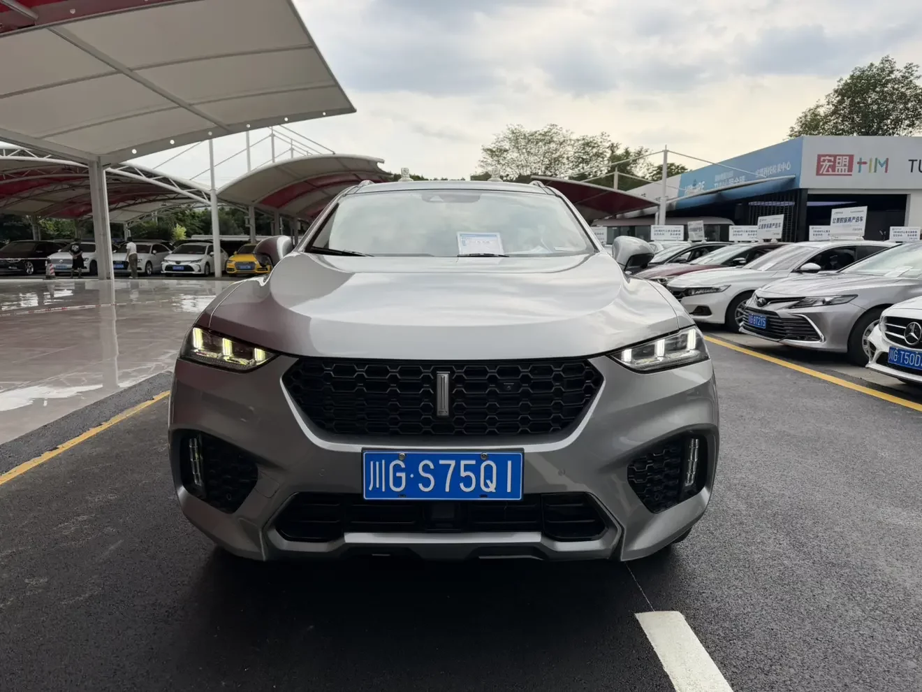 Wey Wei brand VV7