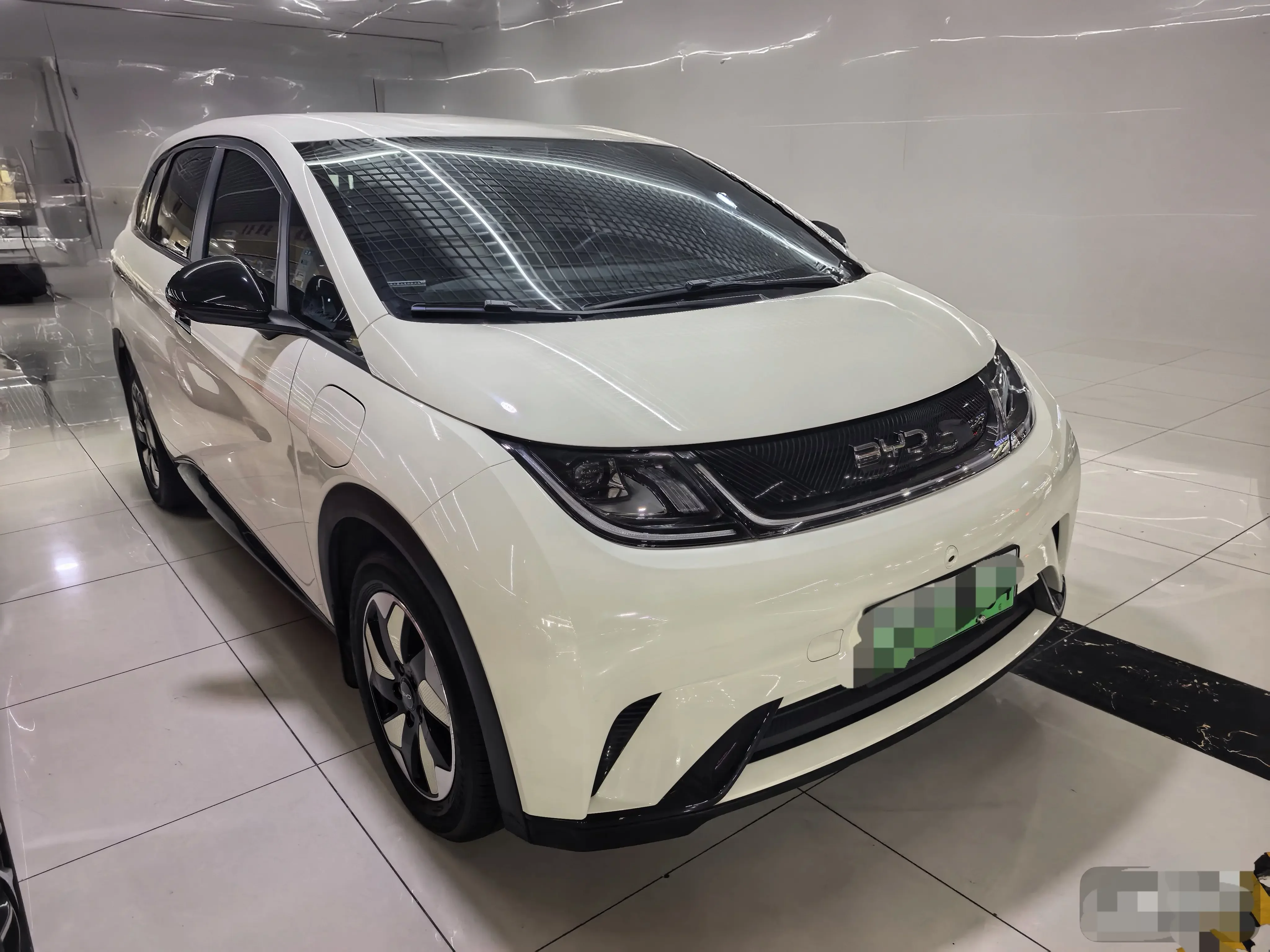 BYD dolphin