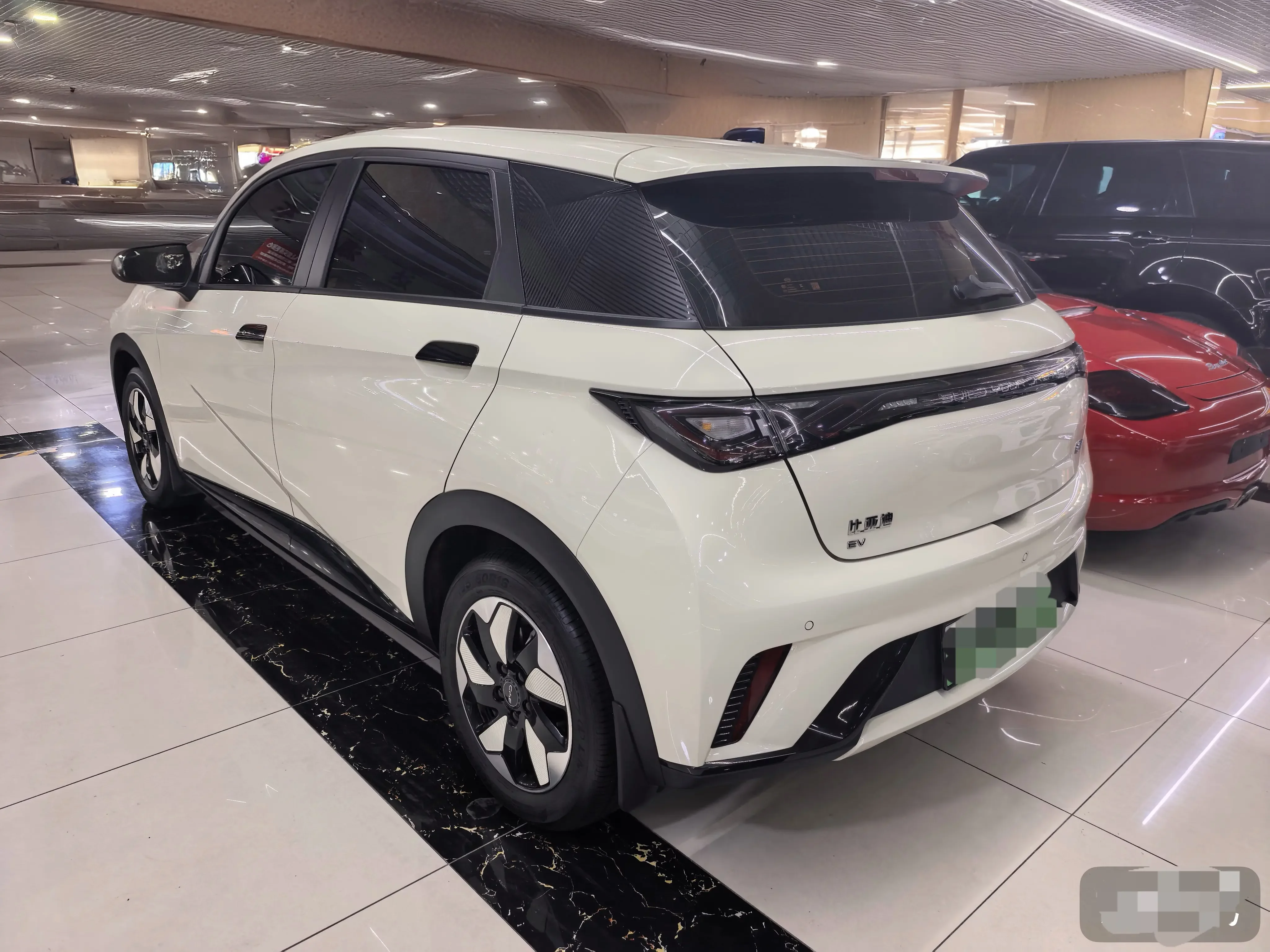 BYD dolphin