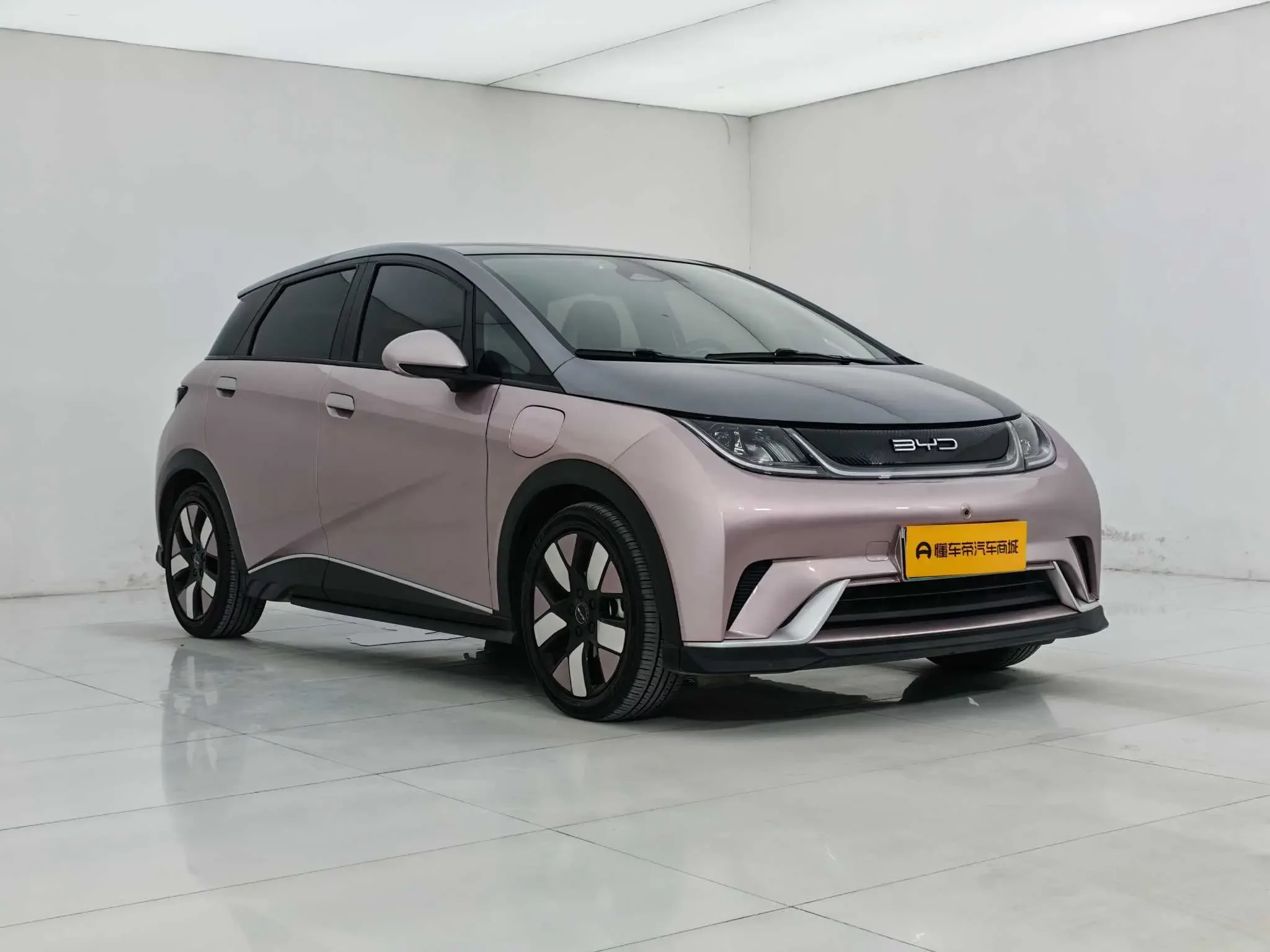 BYD dolphin