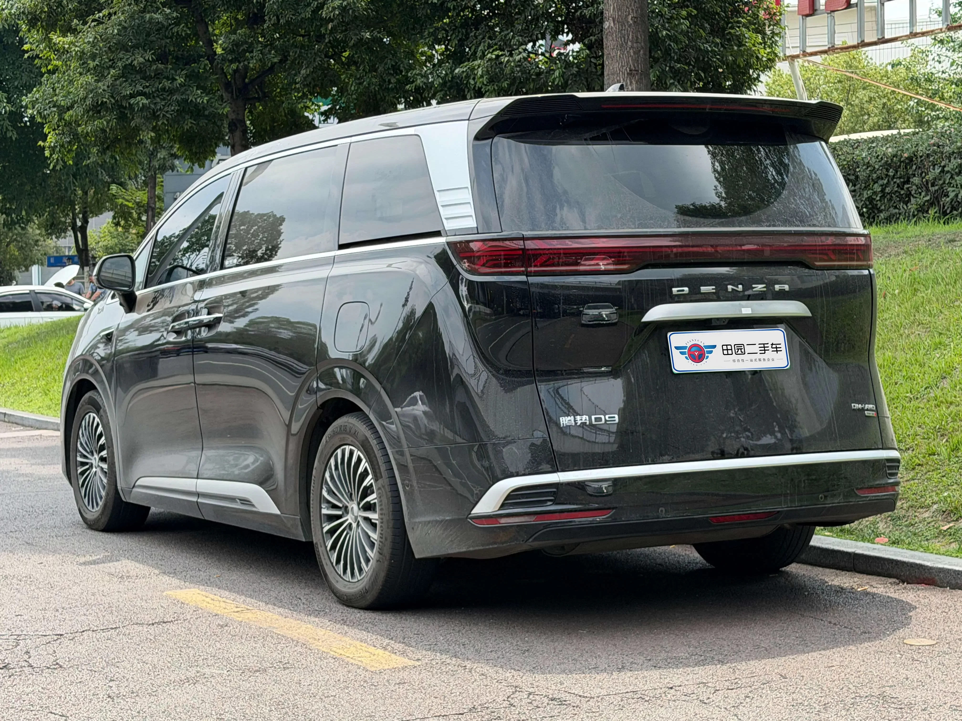 Denza D9 DM