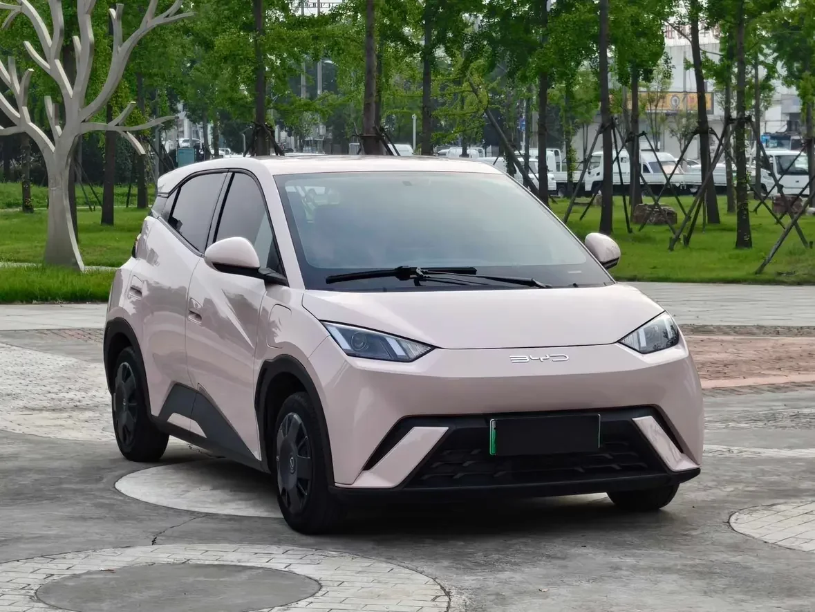 BYD seagull
