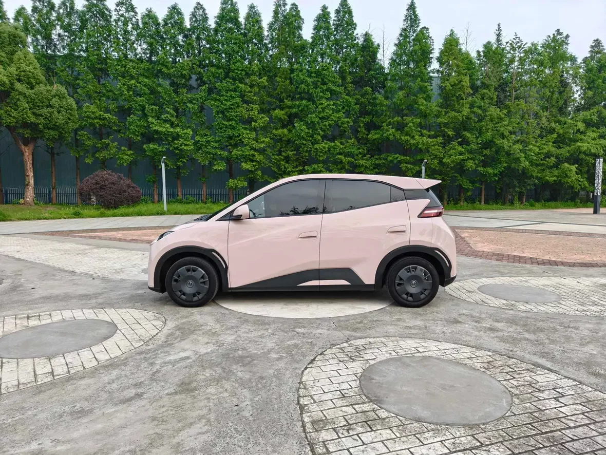 BYD seagull