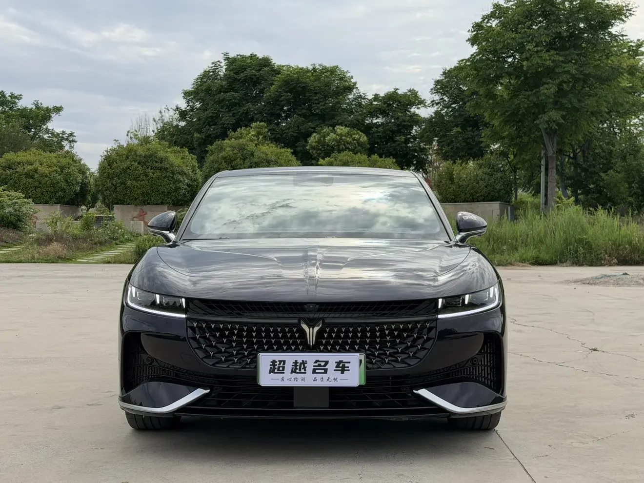 Voyah Passion PHEV