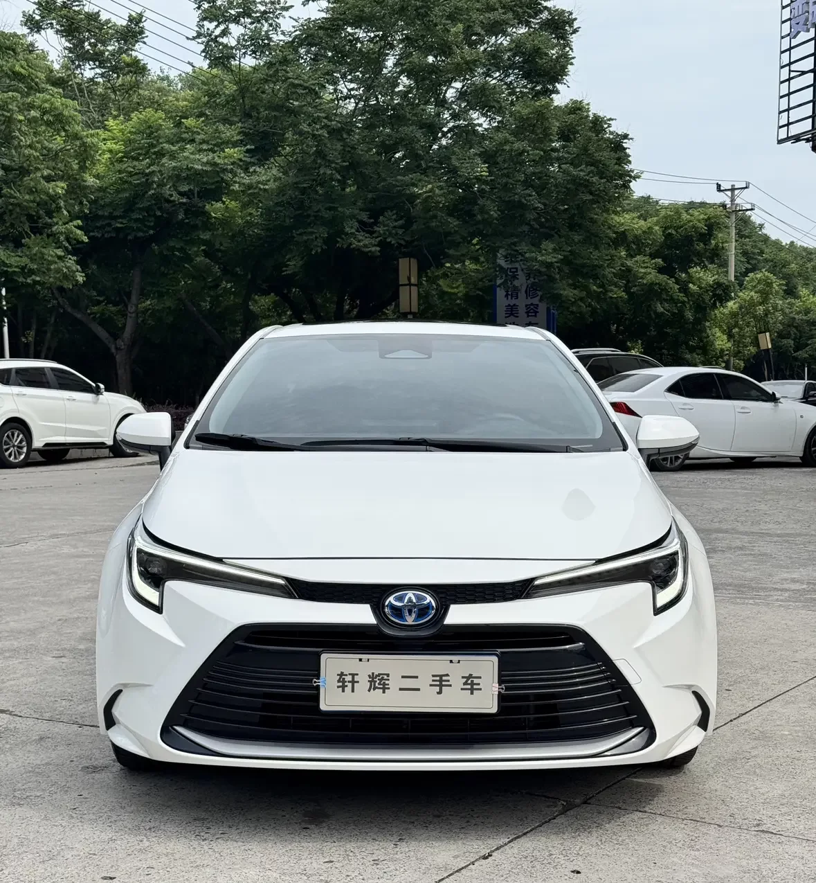 Toyota Levin