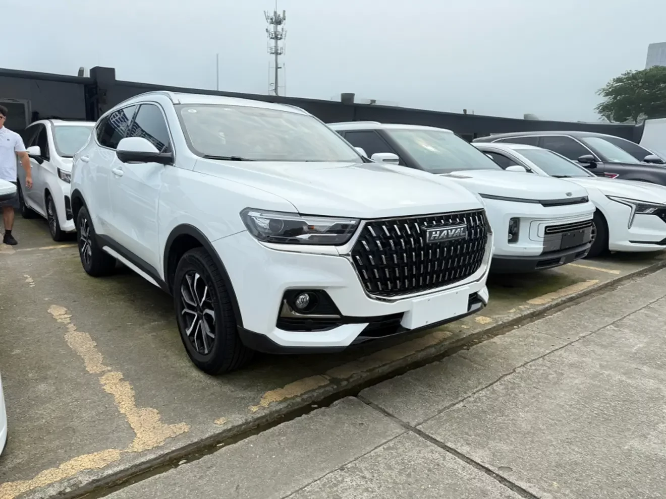 Haval H6