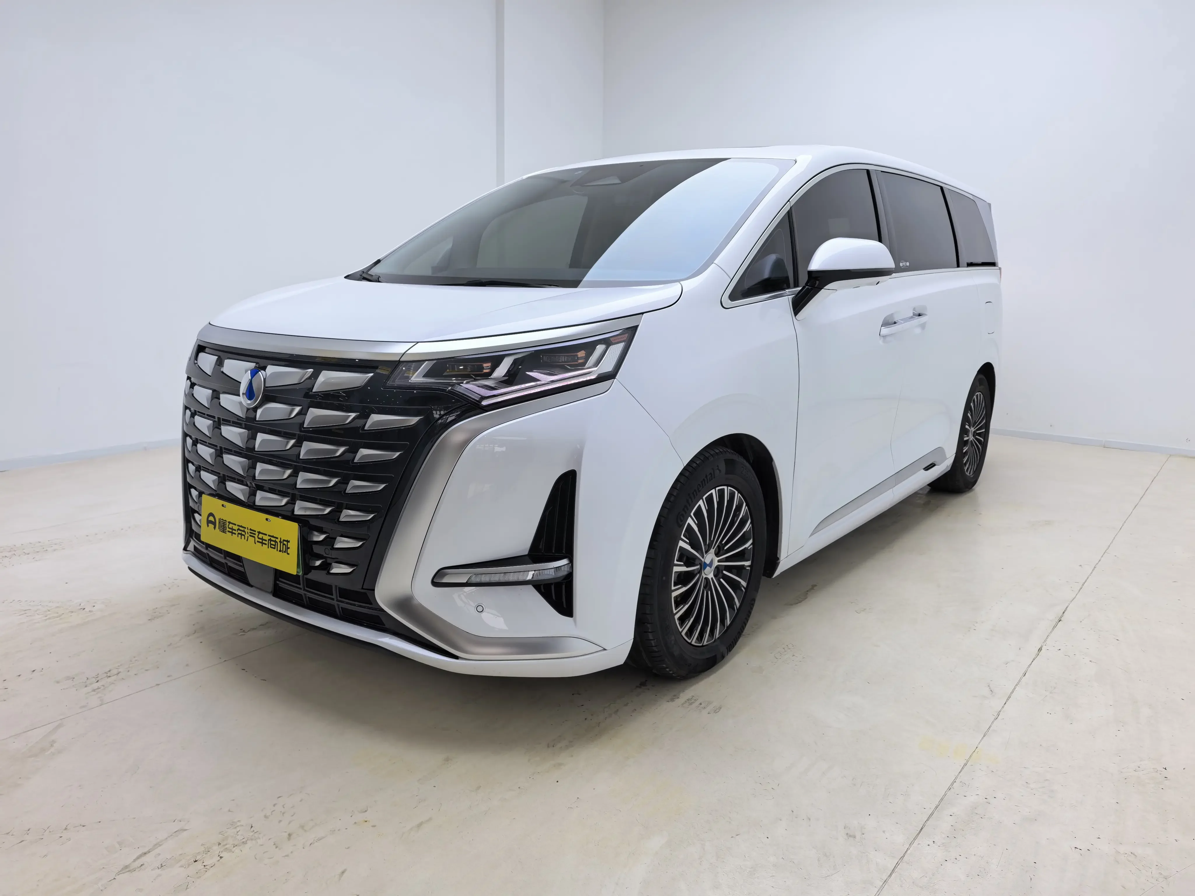 Denza D9 DM