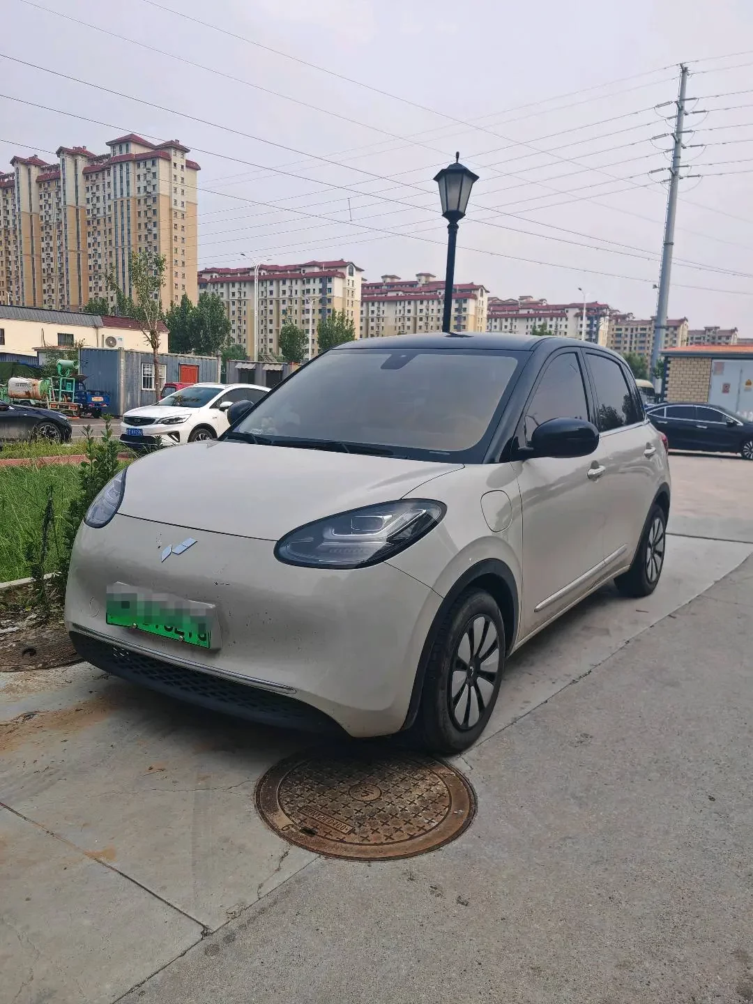 Wuling Bingo