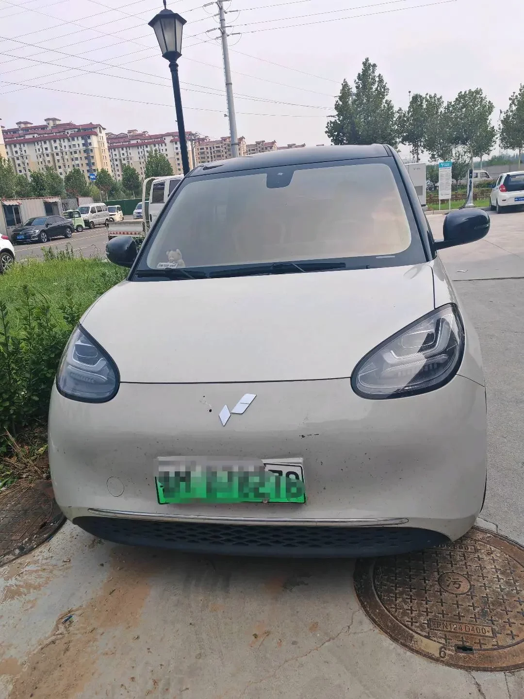 Wuling Bingo