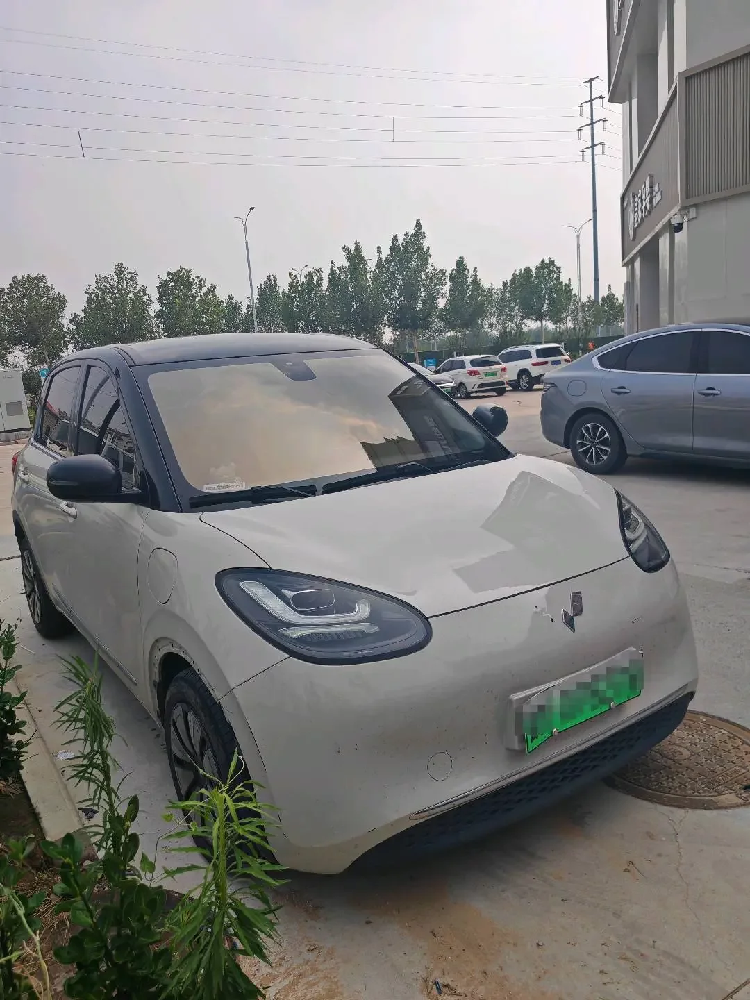Wuling Bingo
