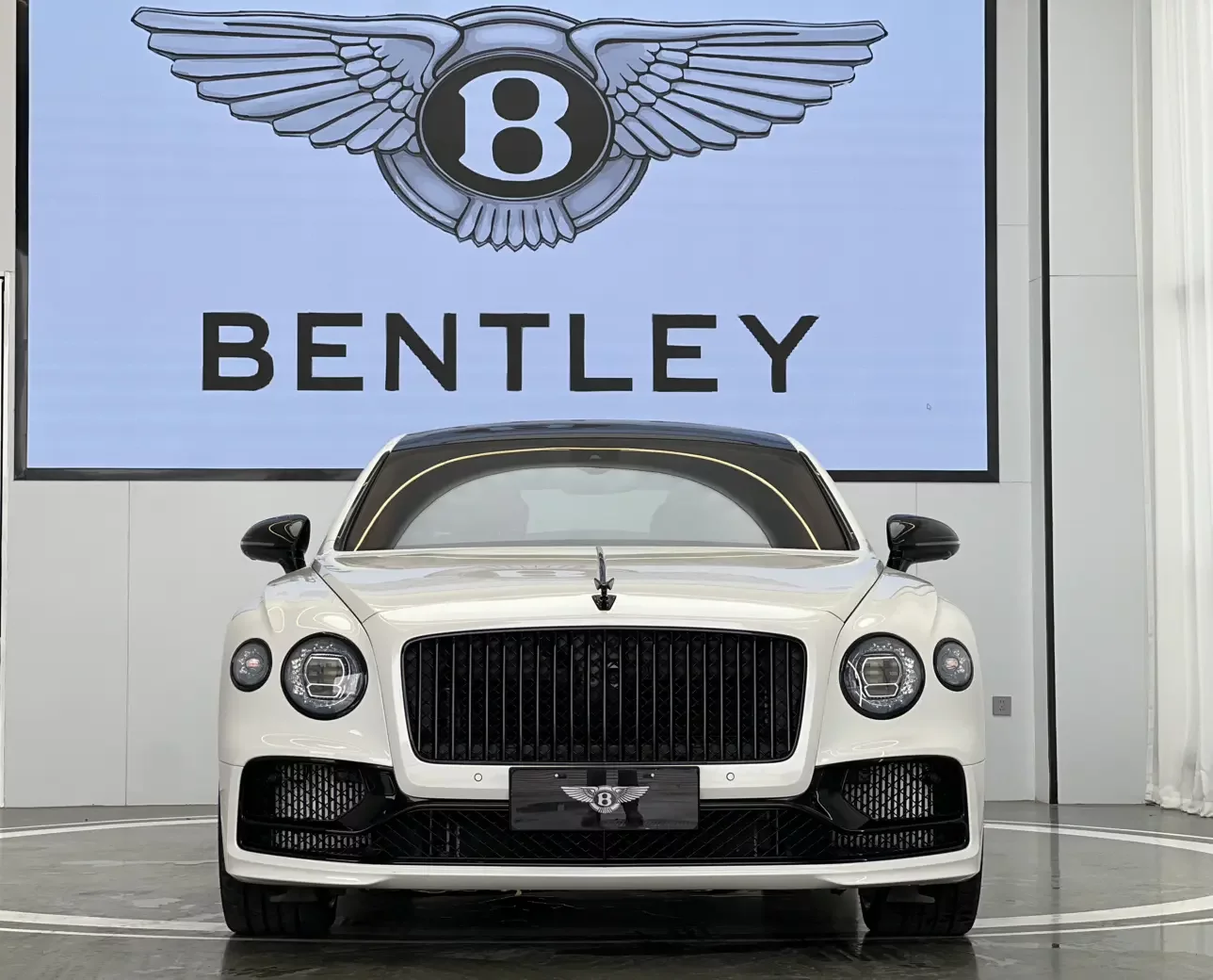 Bentley galloping