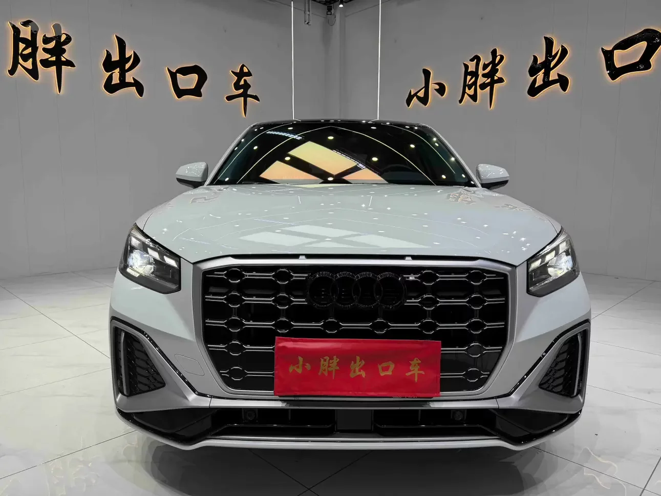 Audi Q2L