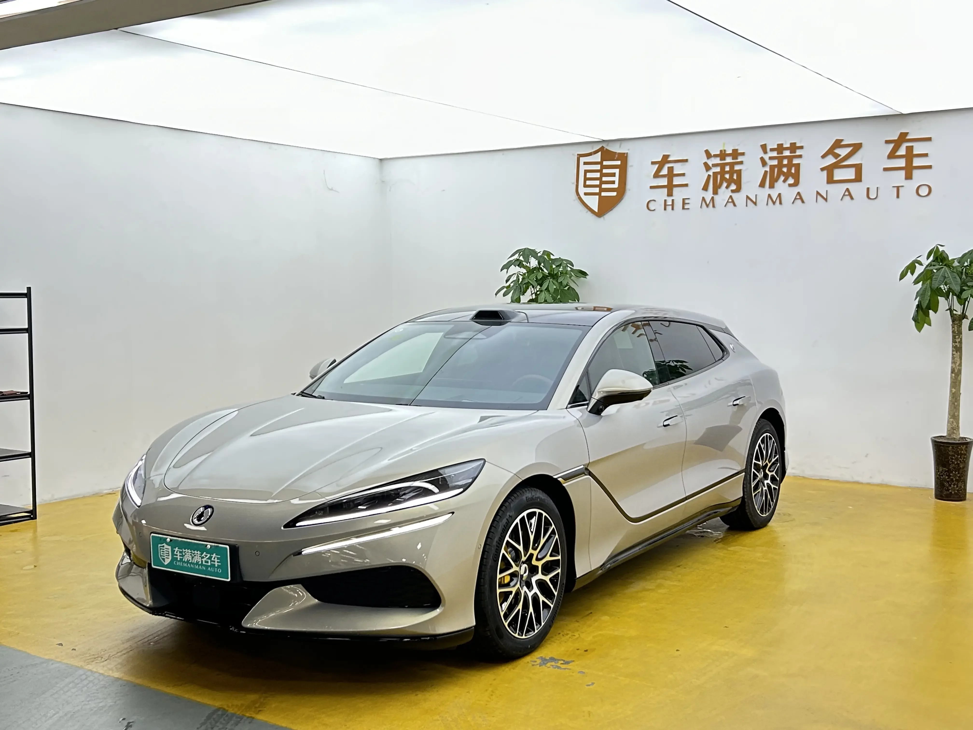 Denza BYD Z9GT EV
