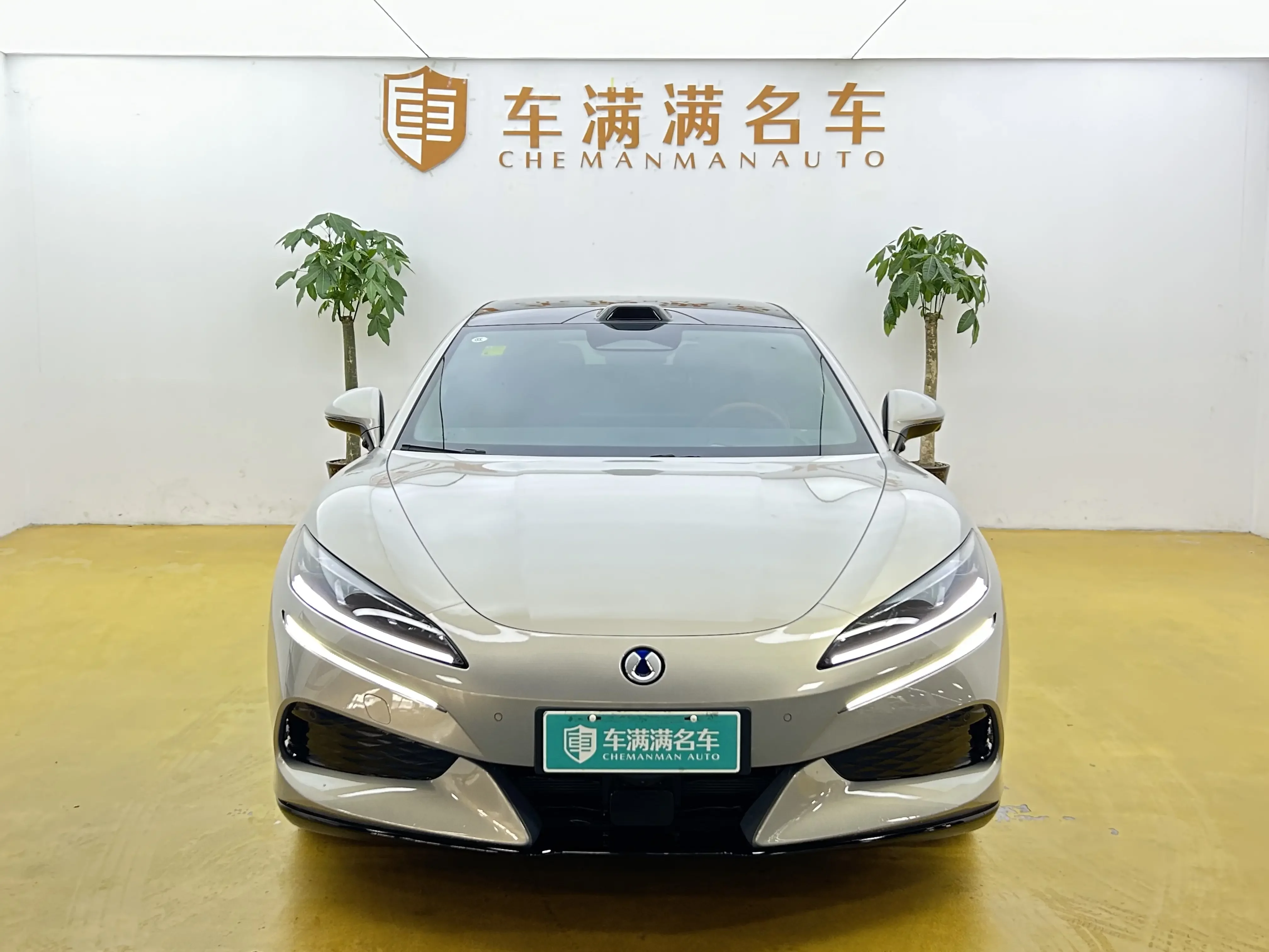 Denza BYD Z9GT EV