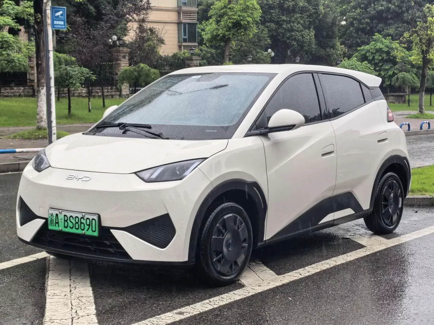 BYD seagull