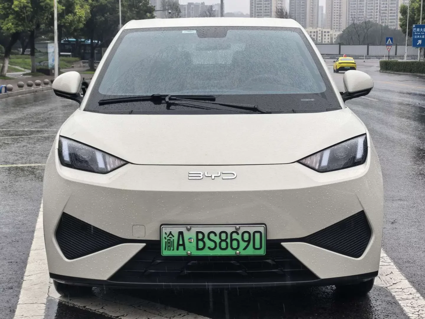 BYD seagull