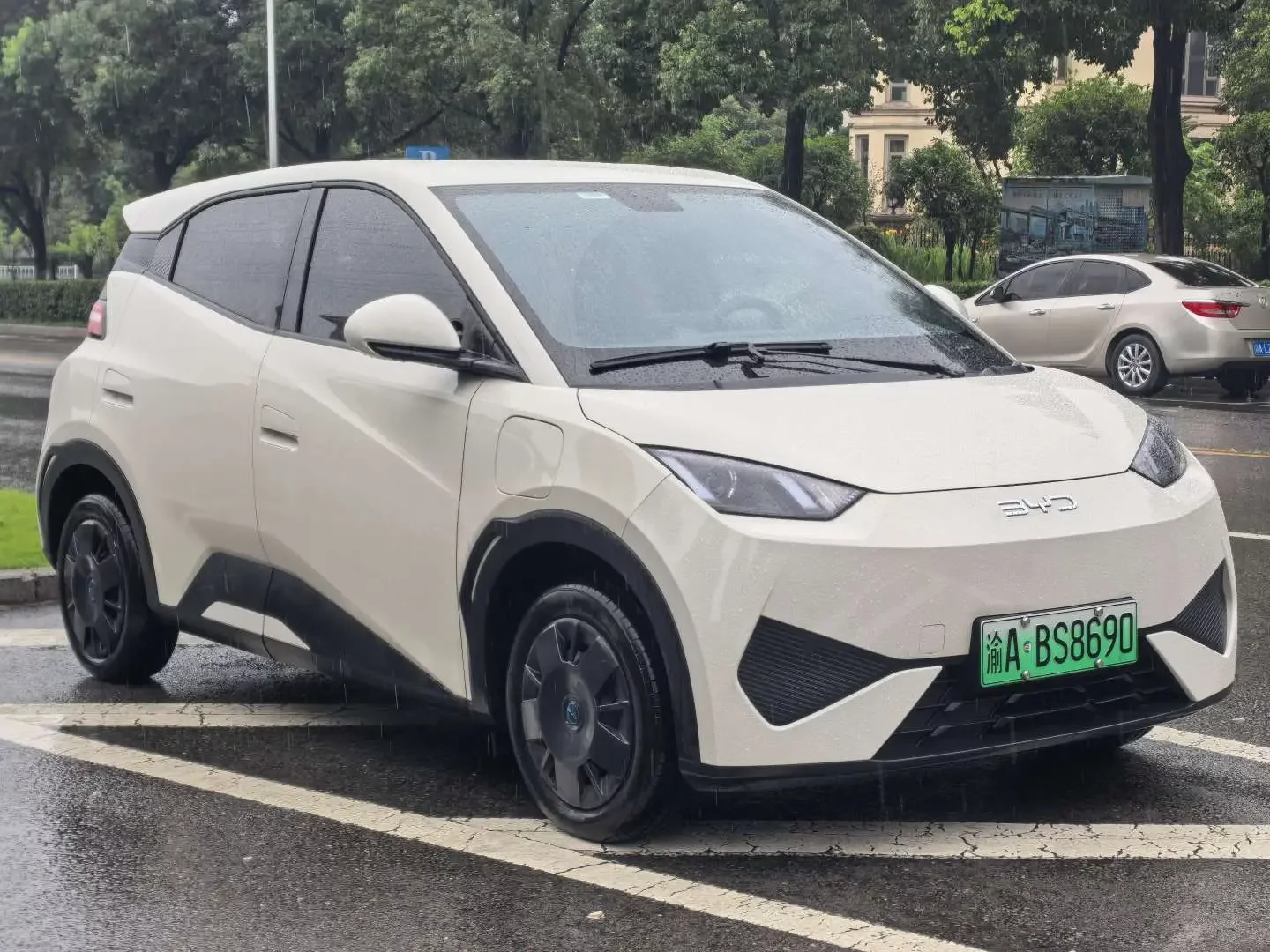 BYD seagull