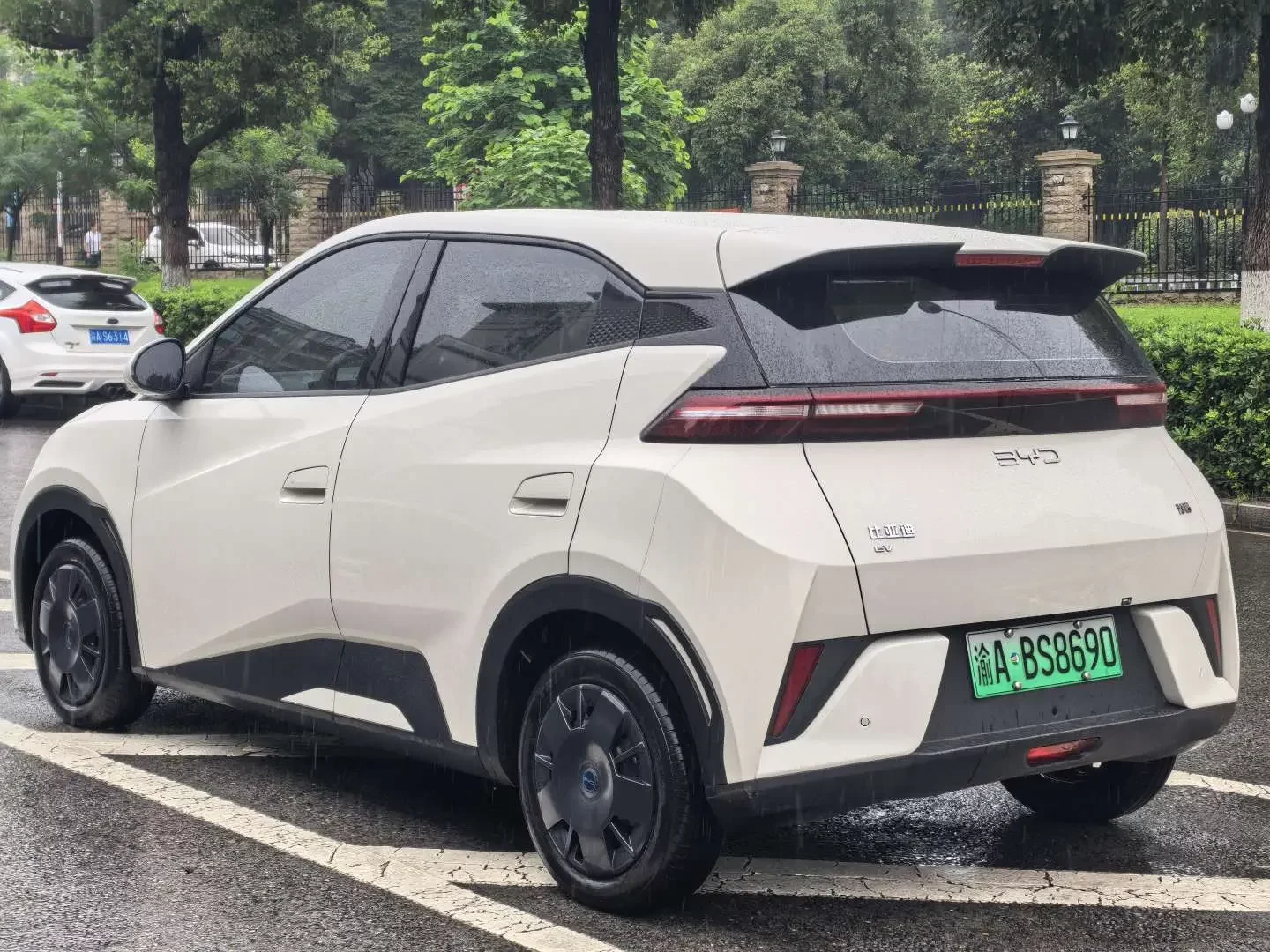 BYD seagull