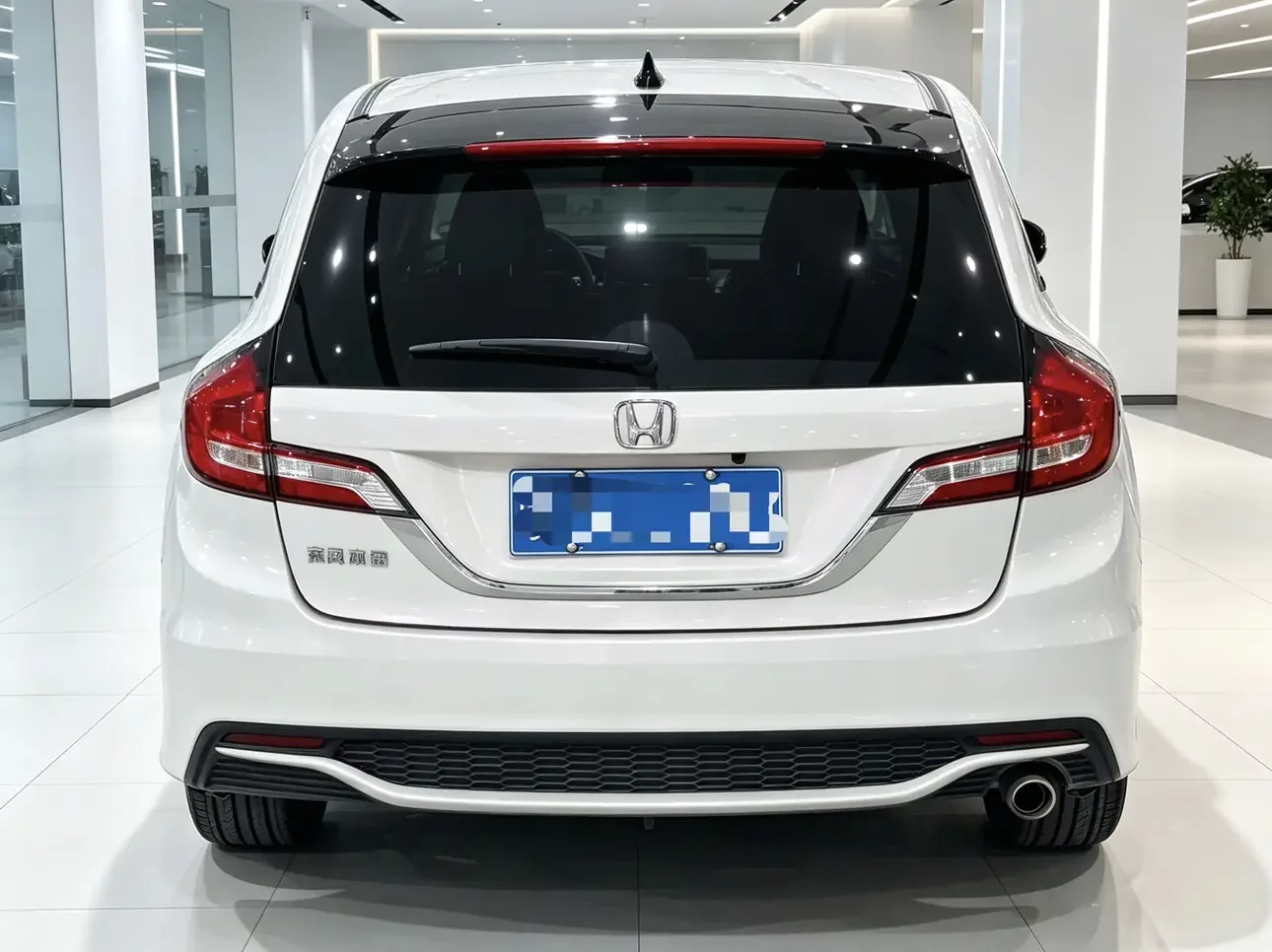 Honda Jed