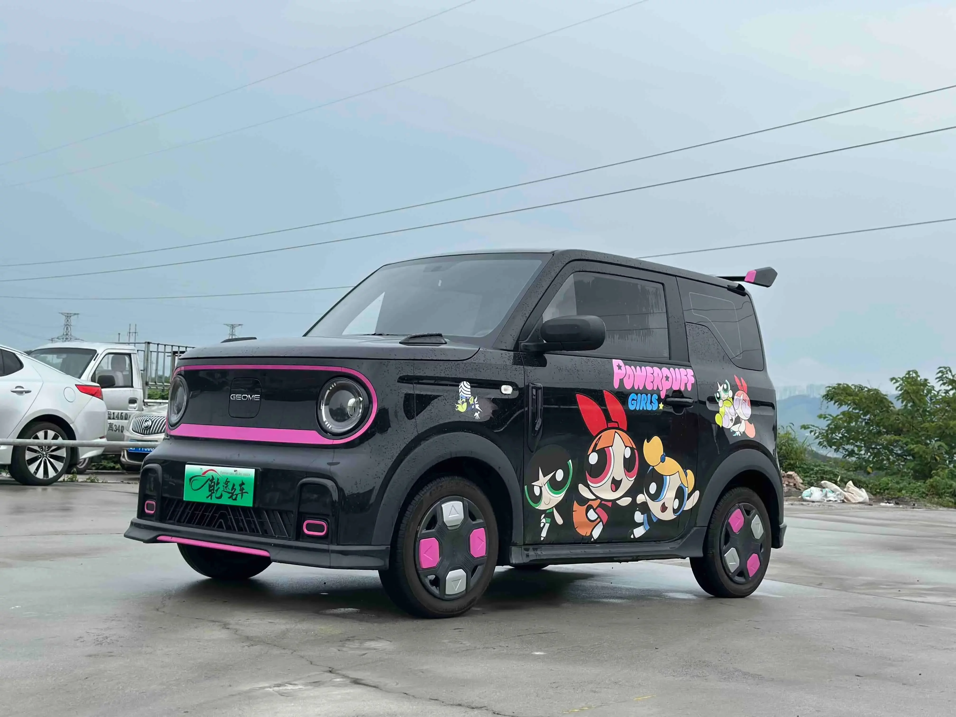 Geely panda