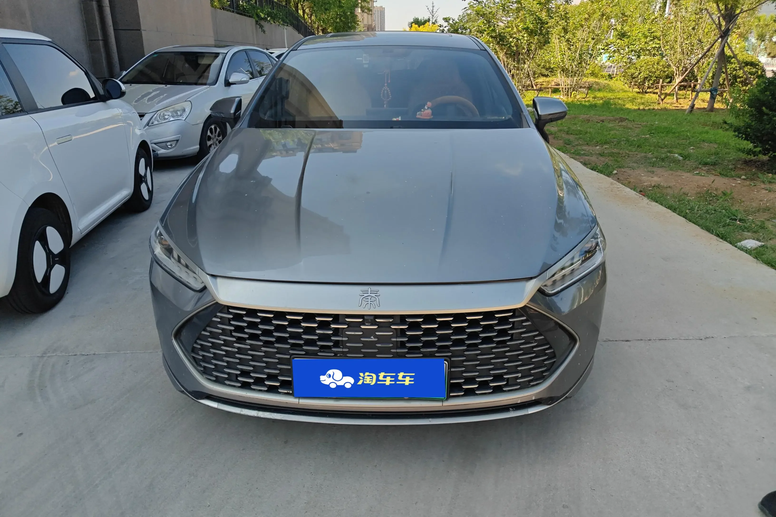 BYD Qin PLUS DM