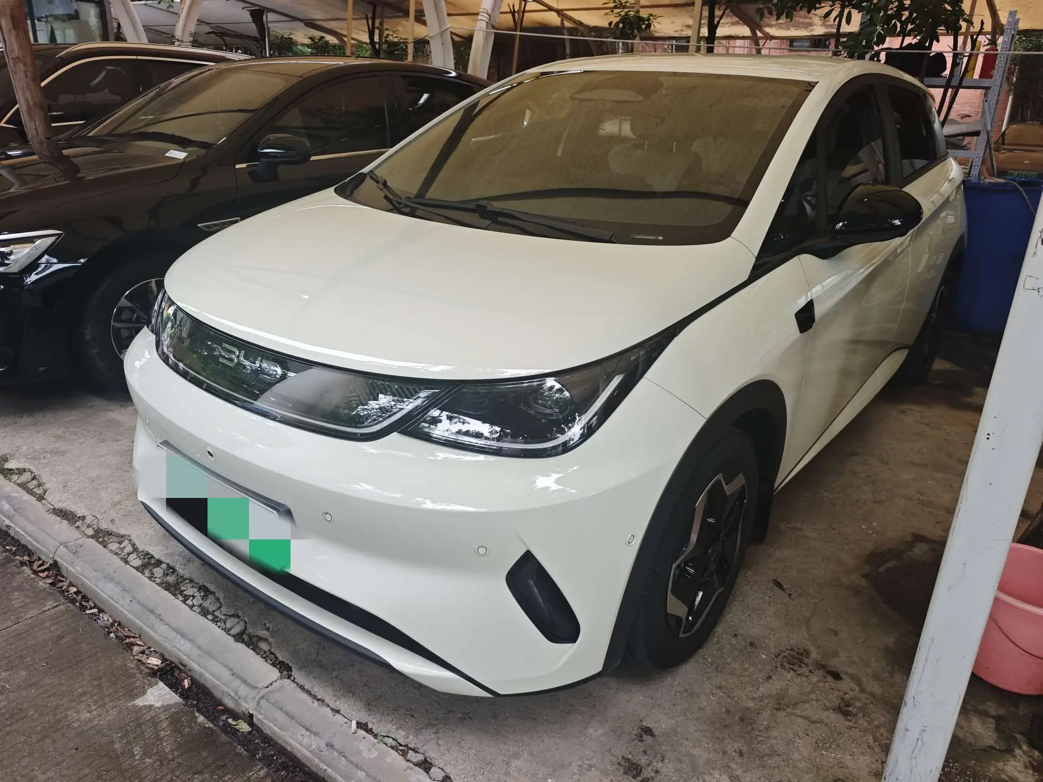 BYD dolphin
