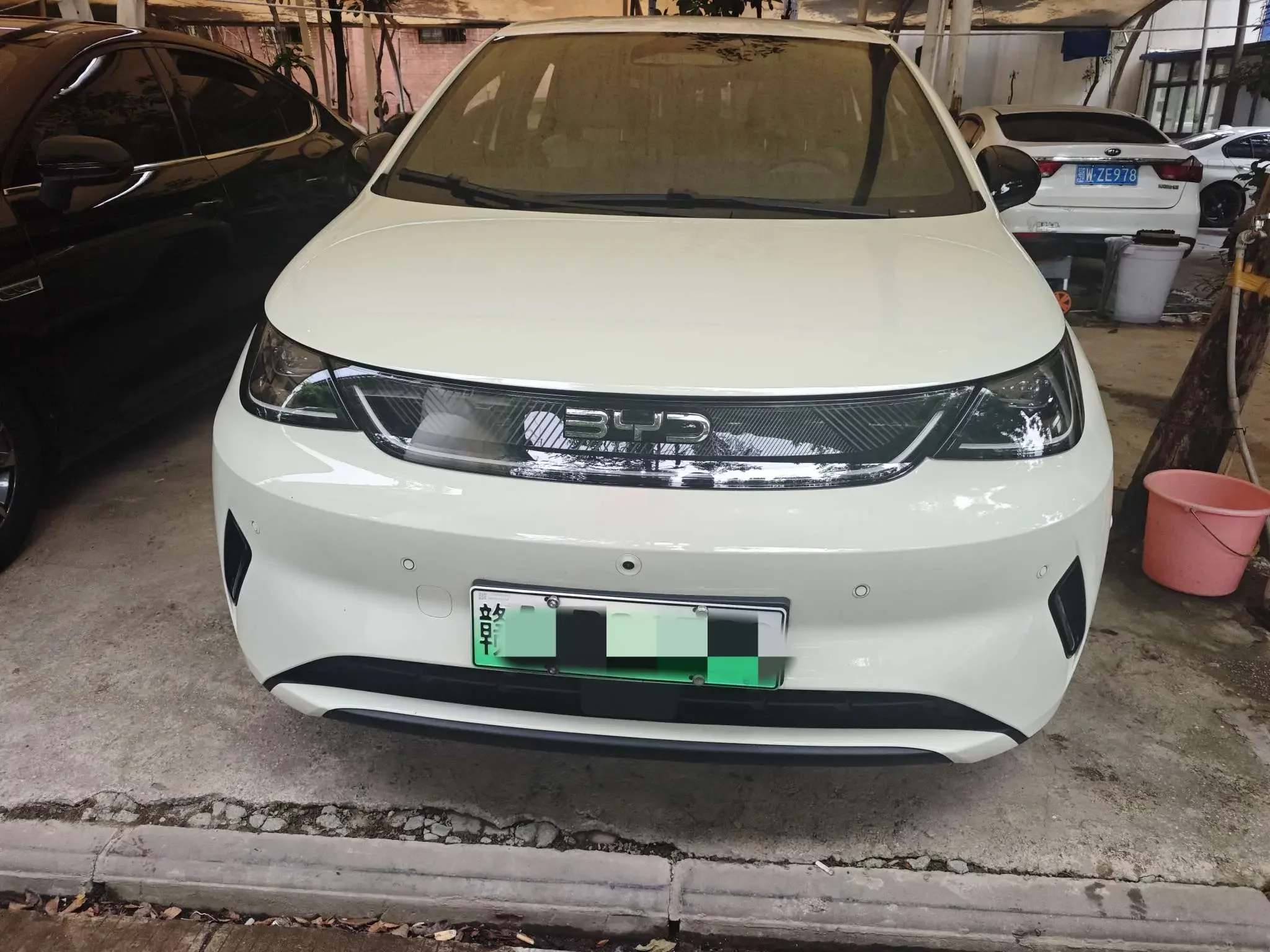 BYD dolphin