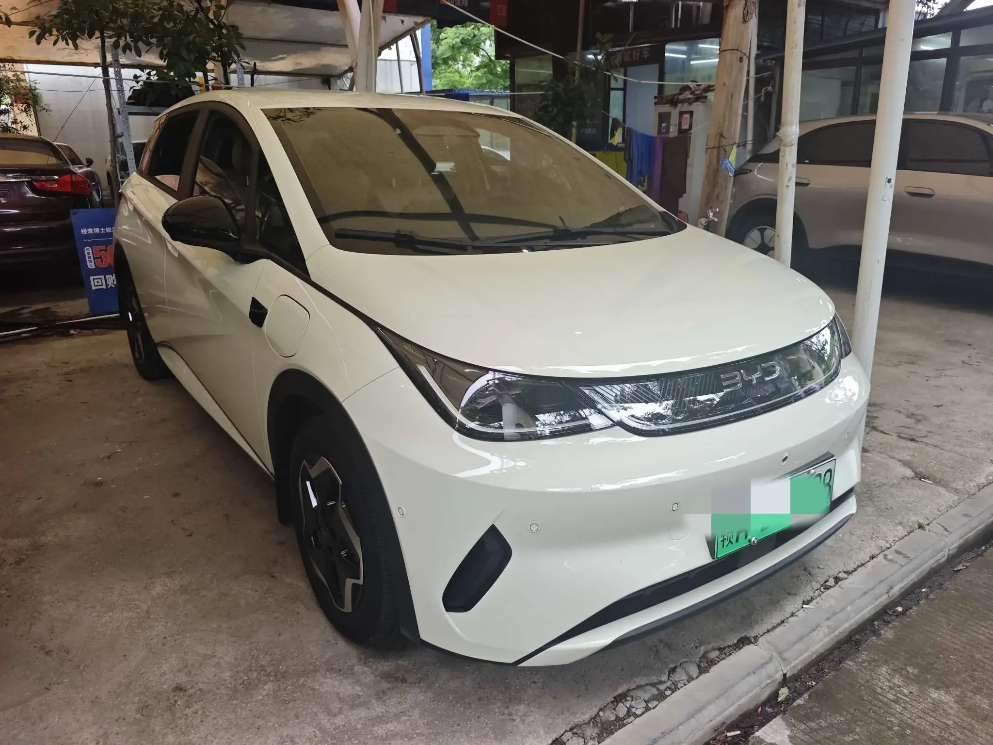 BYD dolphin