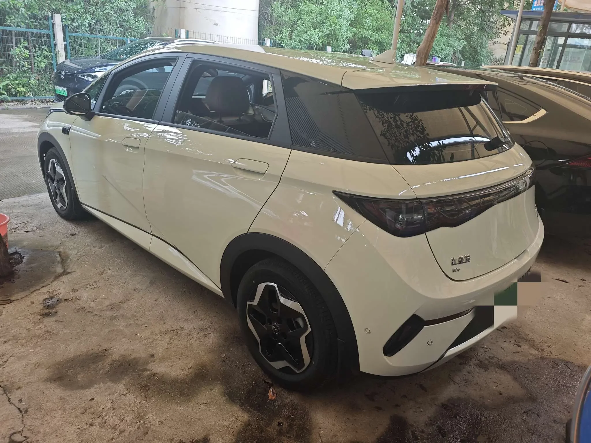 BYD dolphin